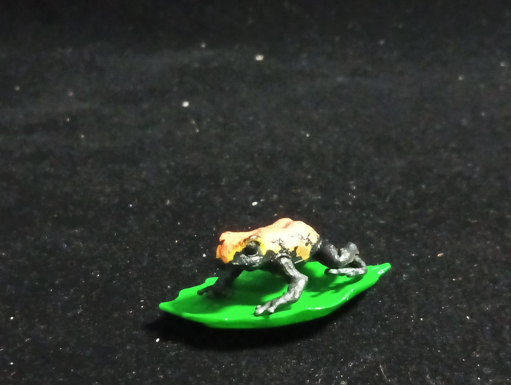 Strawberry poison dart frog “The Poison” - Epoch