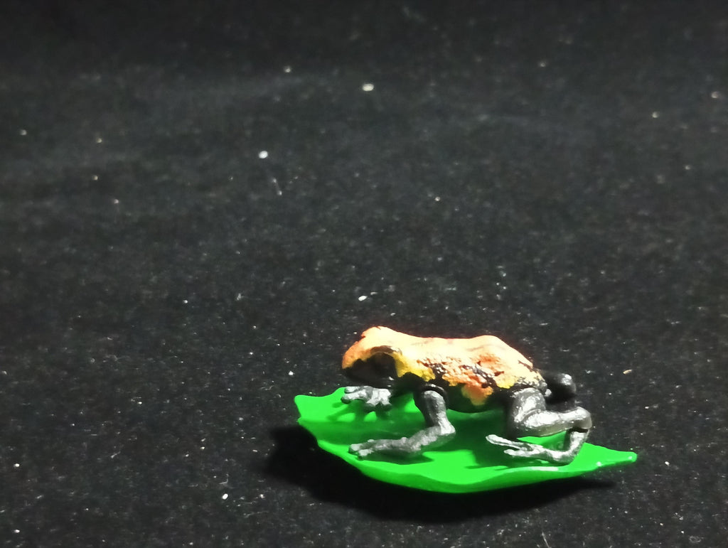 Strawberry poison dart frog “The Poison” - Epoch