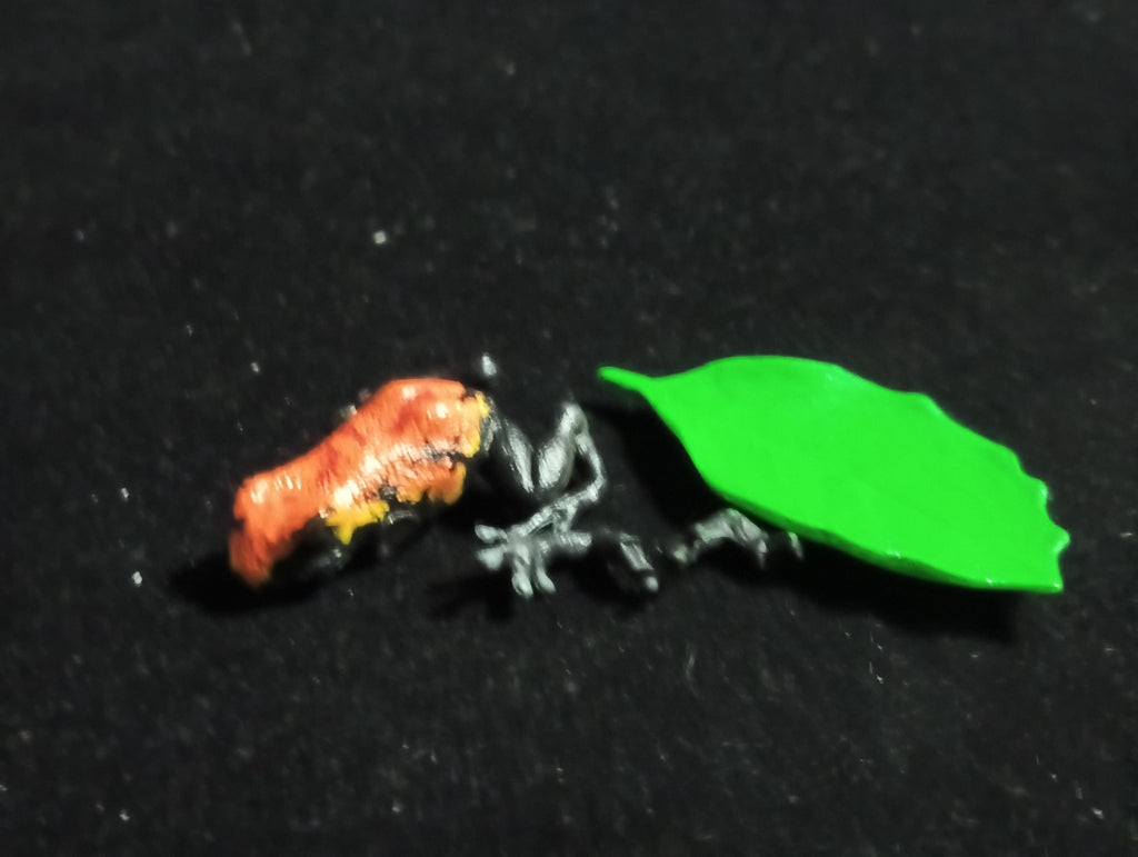 Strawberry poison dart frog “The Poison” - Epoch