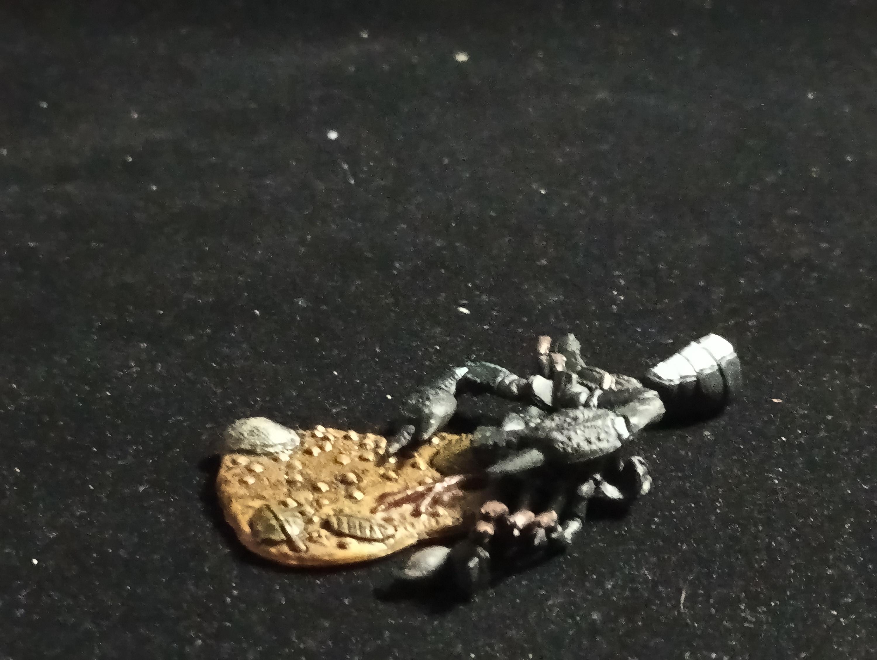 Emperor scorpion “The Poison” - Epoch