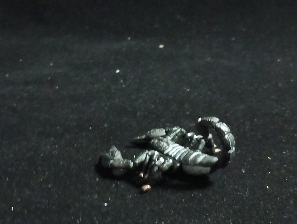 Emperor scorpion “The Poison” - Epoch