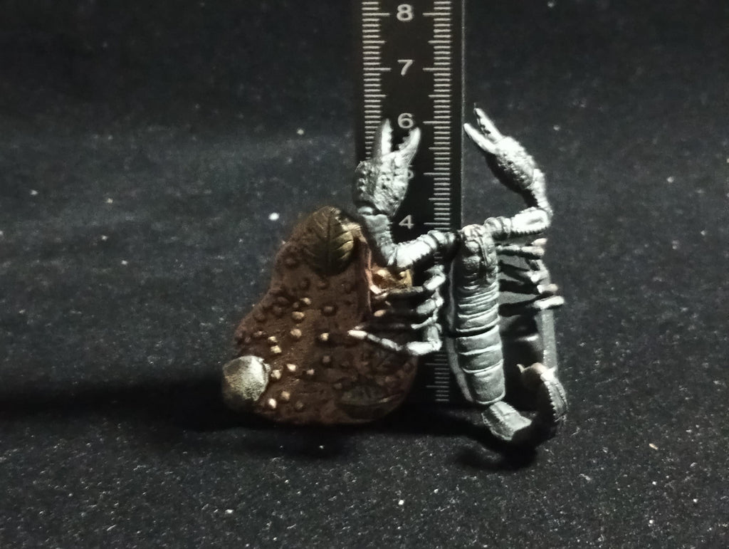 Emperor scorpion “The Poison” - Epoch