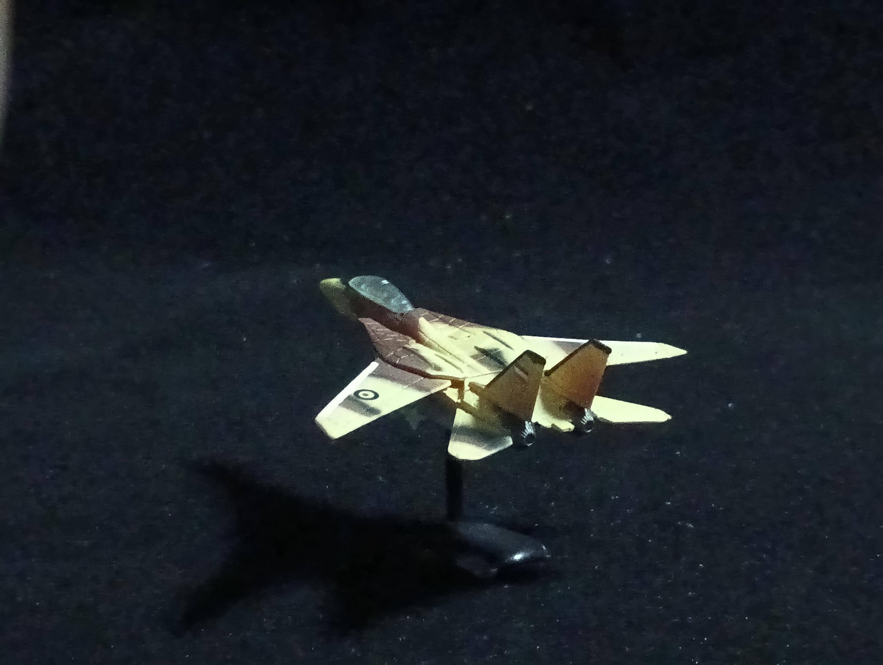 Grumman F-14 Tomcat - Furuta Fighter Aircraft Vol.4 No.75-c