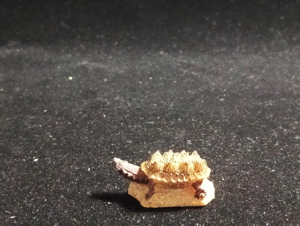 Kabaya Japan Exclusive Miniature Meta Tutle