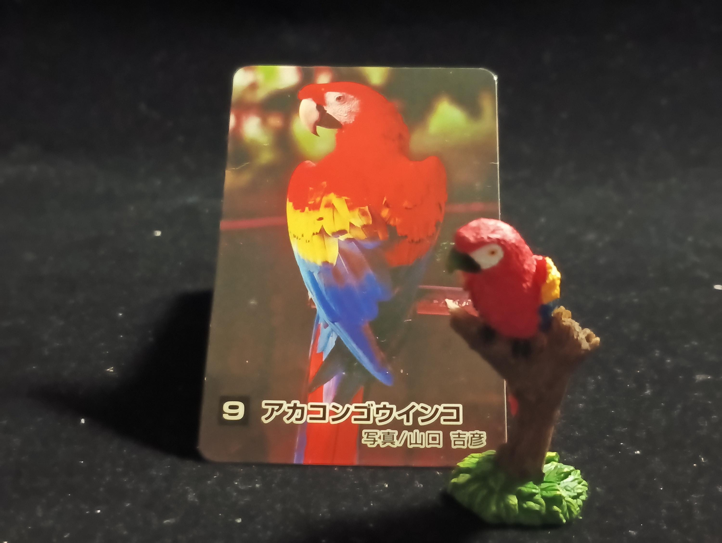 The Mysterious of Amazon  Japan Exclusive Miniature - Scarlet Macaw Kabaya 2003
