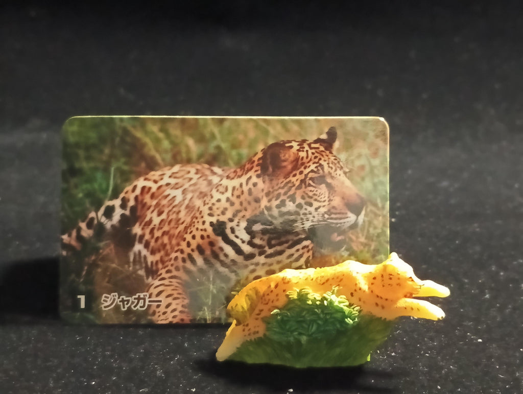 The Mysterious of Amazon Japan Exclusive Miniature - Jaguar Kabaya 2003