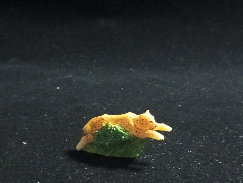 The Mysterious of Amazon Japan Exclusive Miniature - Jaguar Kabaya 2003