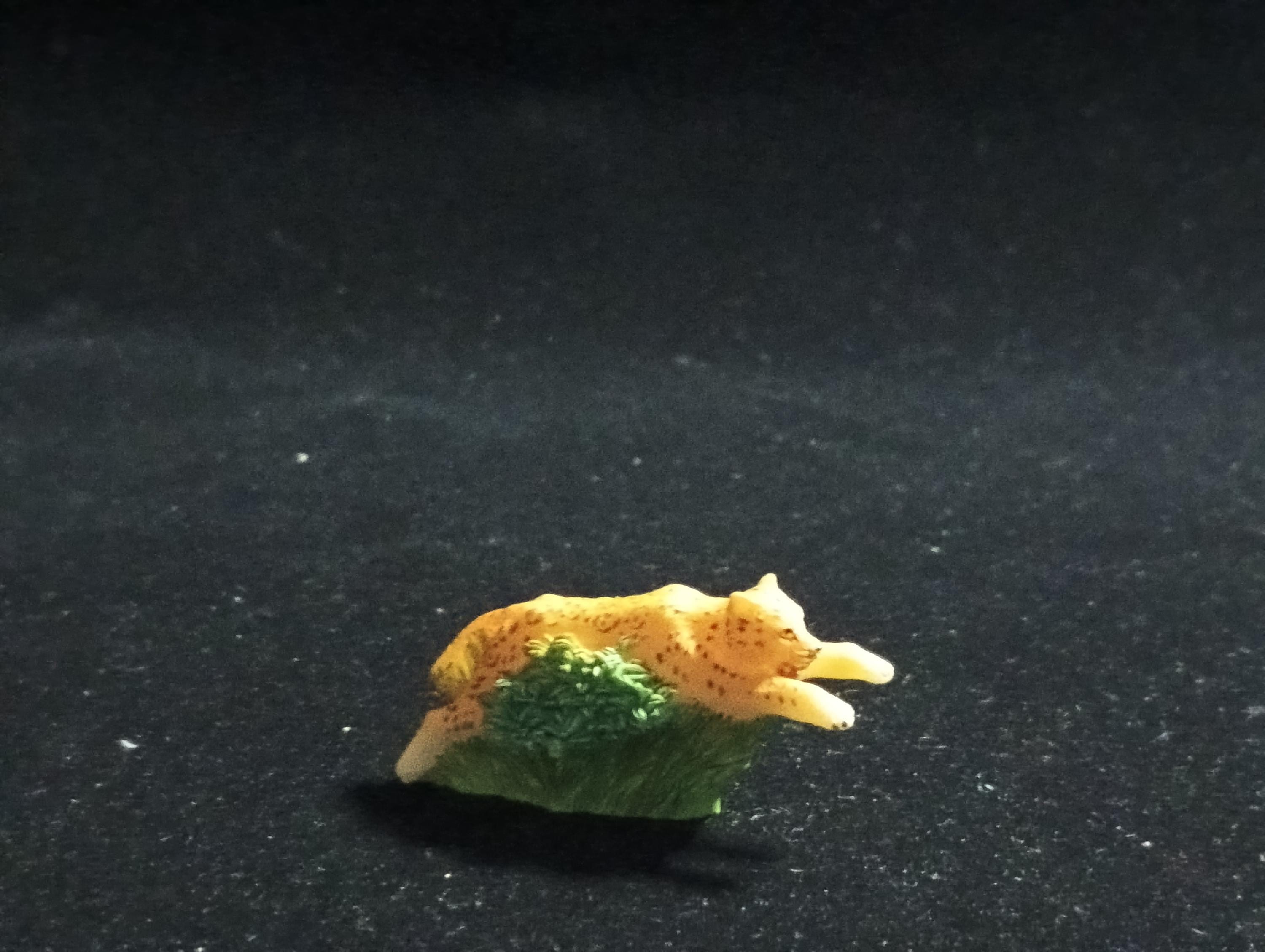 The Mysterious of Amazon Japan Exclusive Miniature - Jaguar Kabaya 2003