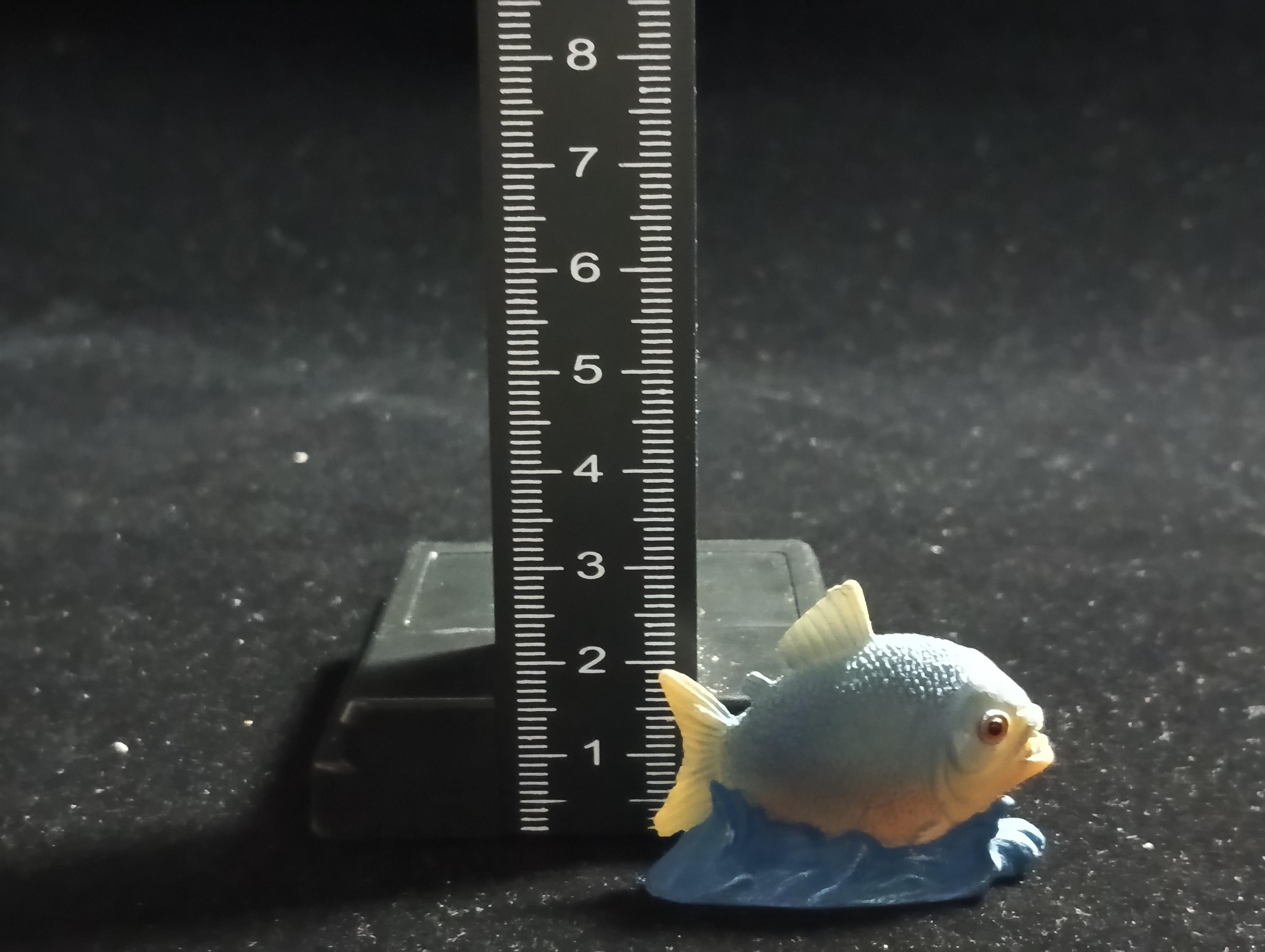 The Mysterious of Amazon Japan Exclusive Miniature - Piranha Kabaya 2003