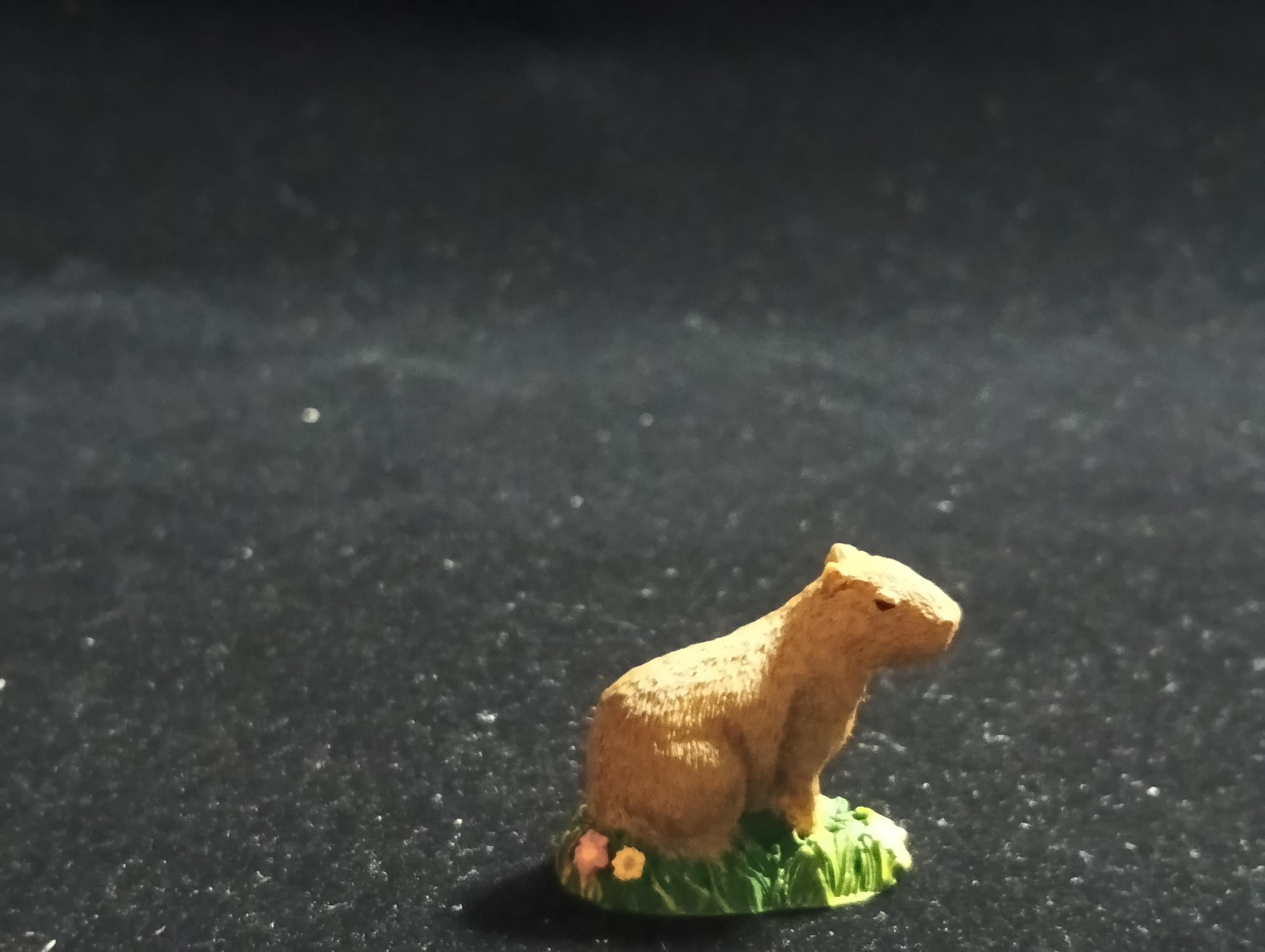 The Mysterious of Amazon Japan Exclusive Miniature - Capybara Kabaya 2003
