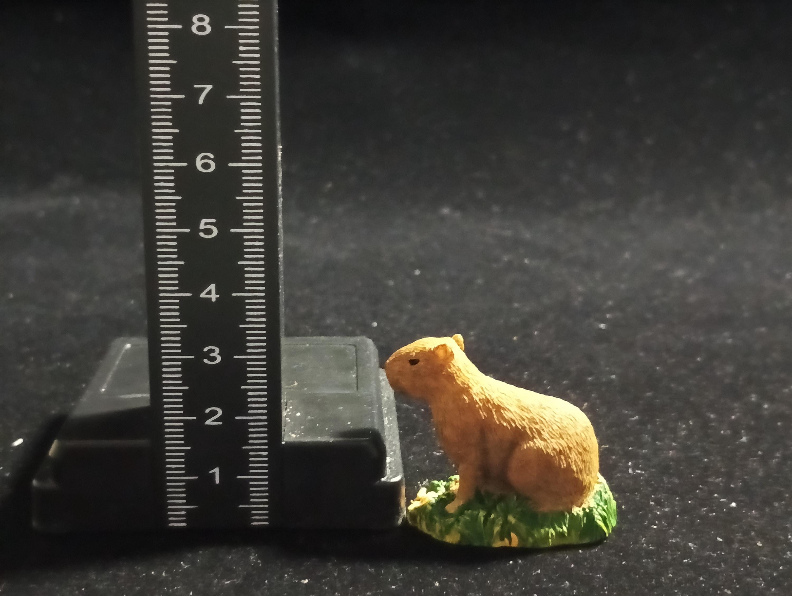 The Mysterious of Amazon Japan Exclusive Miniature - Capybara Kabaya 2003