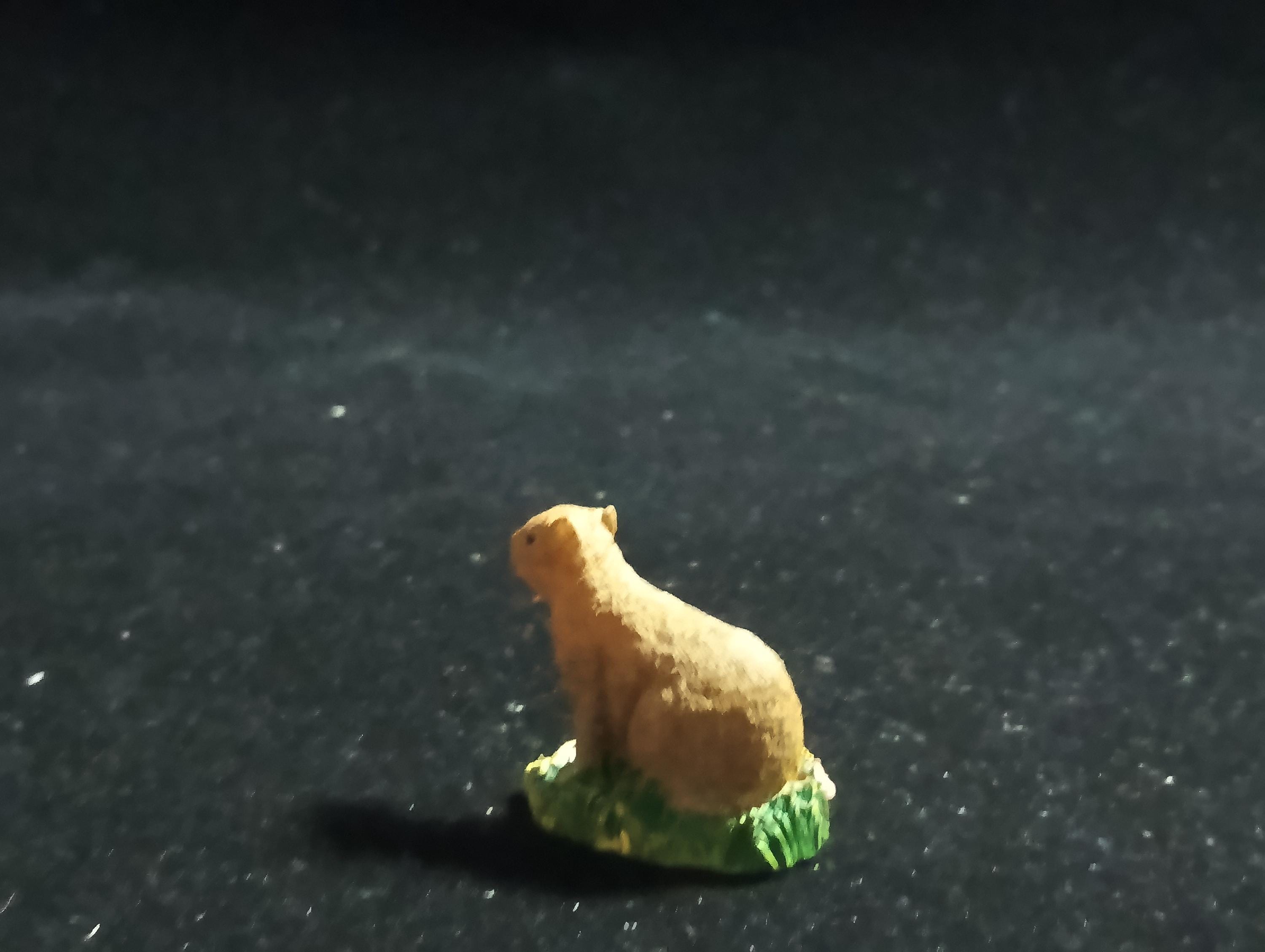 The Mysterious of Amazon Japan Exclusive Miniature - Capybara Kabaya 2003