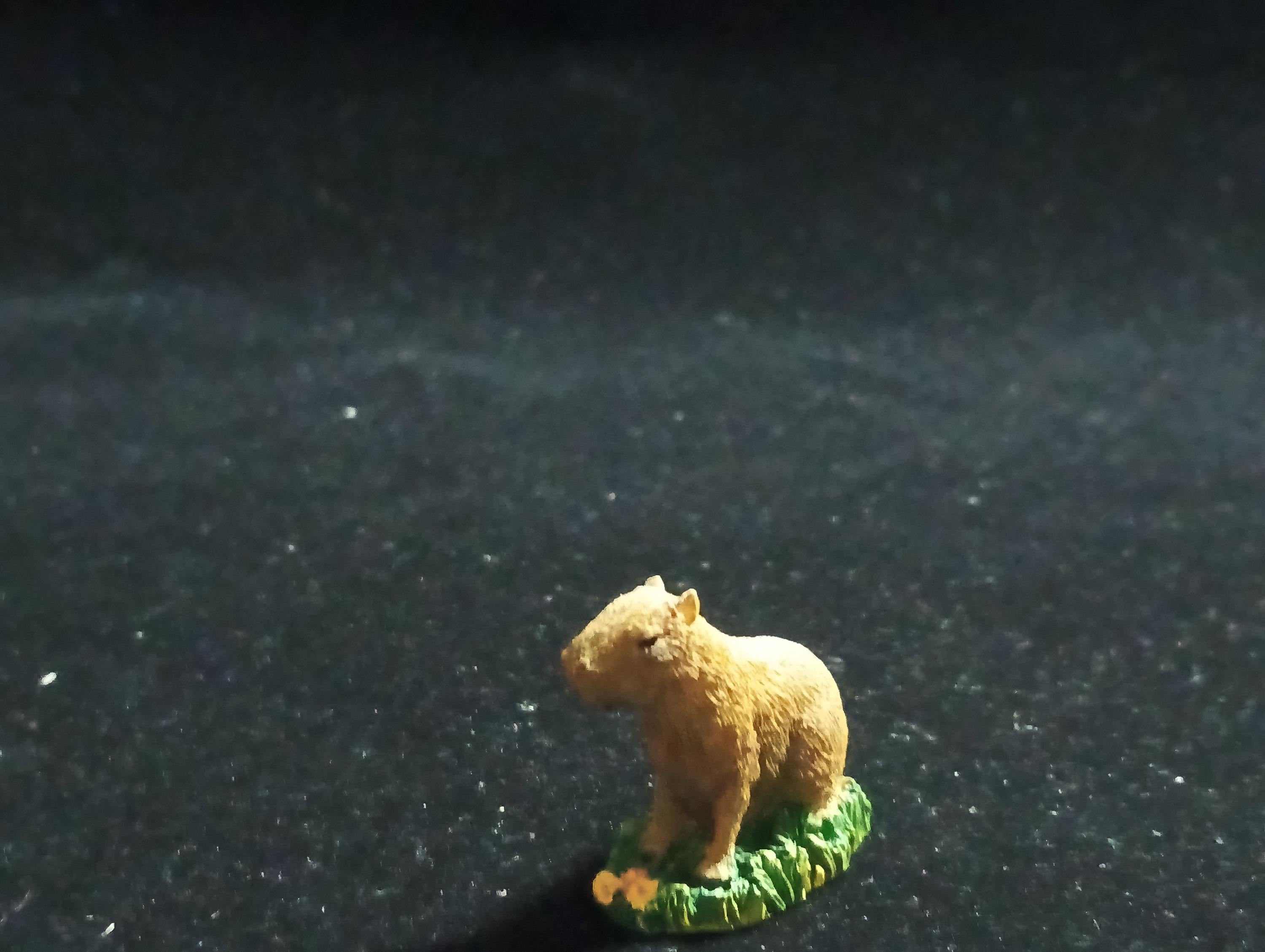 The Mysterious of Amazon Japan Exclusive Miniature - Capybara Kabaya 2003