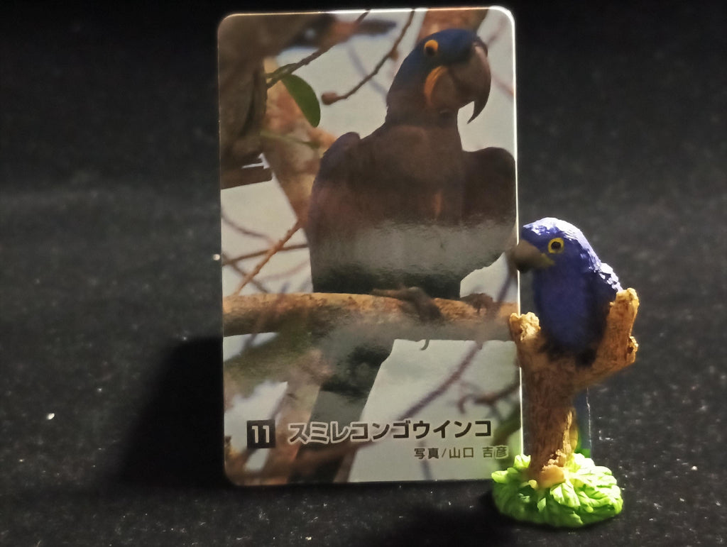 The Mysterious of Amazon Japan Exclusive Miniature - Hyacinth Macaw Kabaya 2003