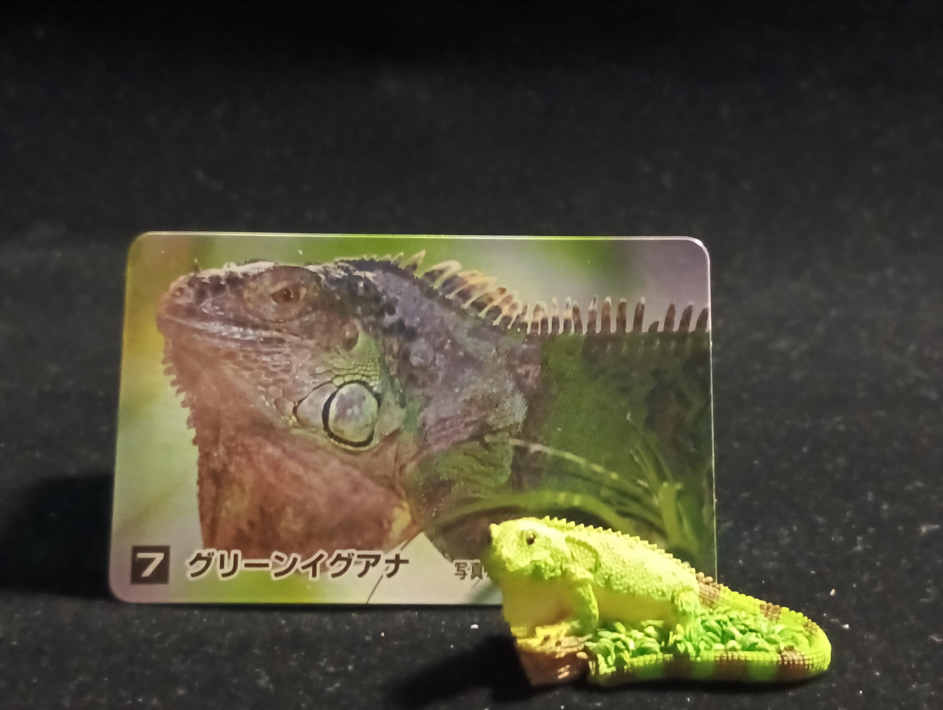 The Mysterious of Amazon Japan Exclusive Miniature - Green Iguana Kabaya 2003