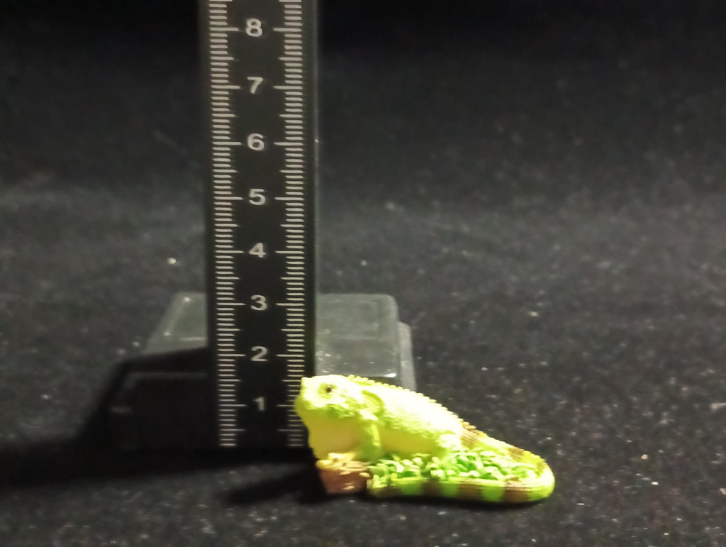 The Mysterious of Amazon Japan Exclusive Miniature - Green Iguana Kabaya 2003