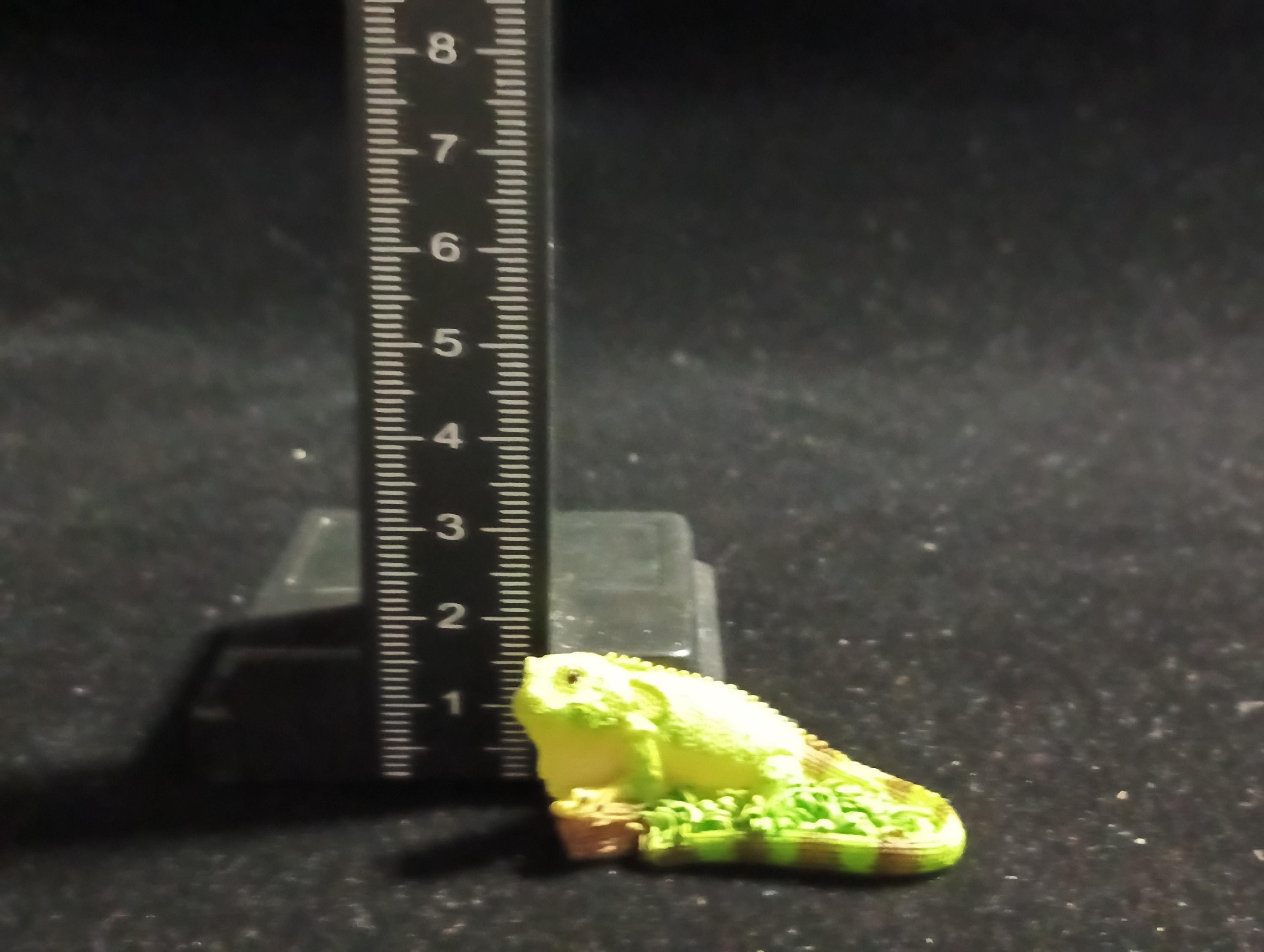The Mysterious of Amazon Japan Exclusive Miniature - Green Iguana Kabaya 2003