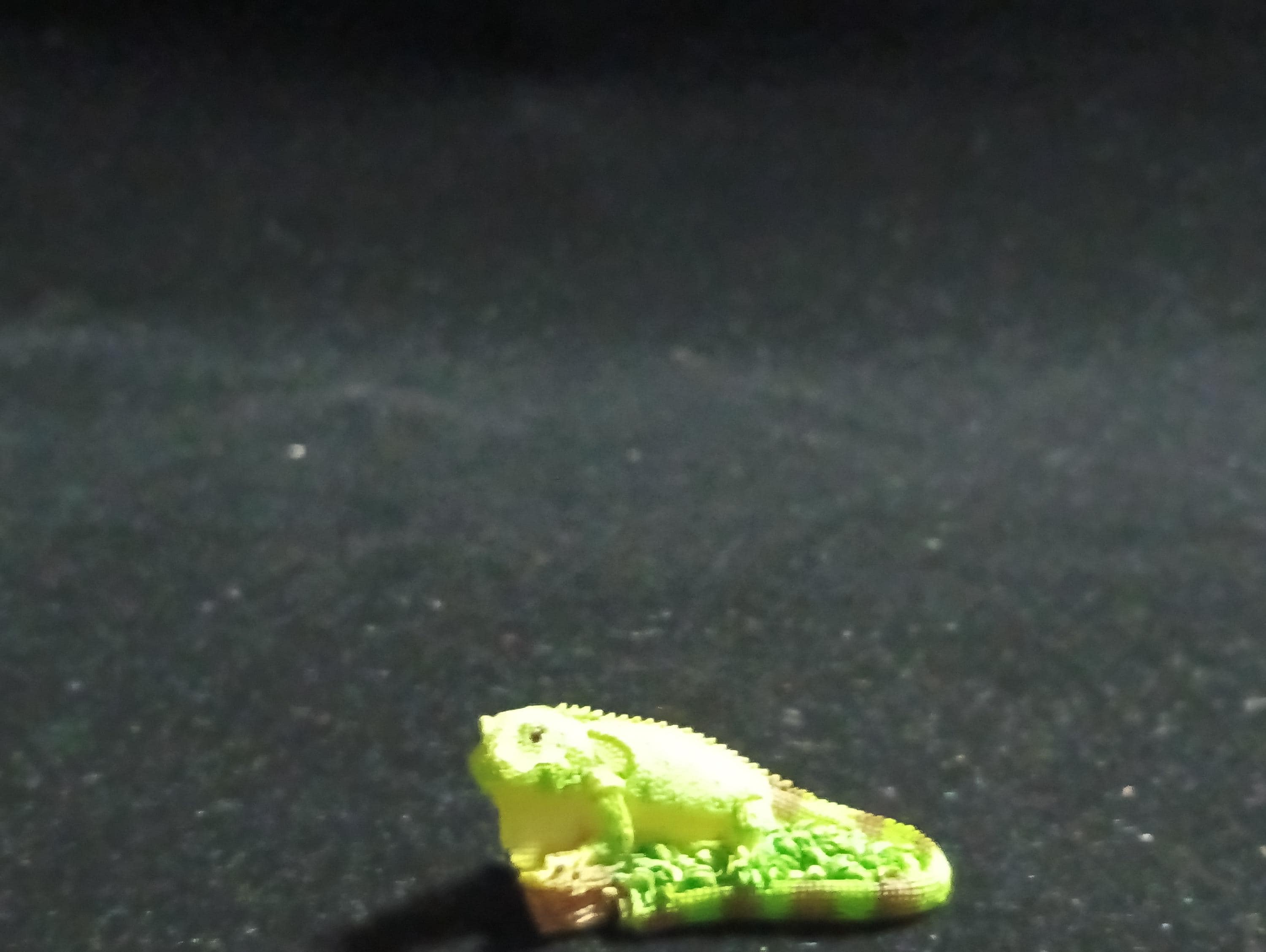 The Mysterious of Amazon Japan Exclusive Miniature - Green Iguana Kabaya 2003
