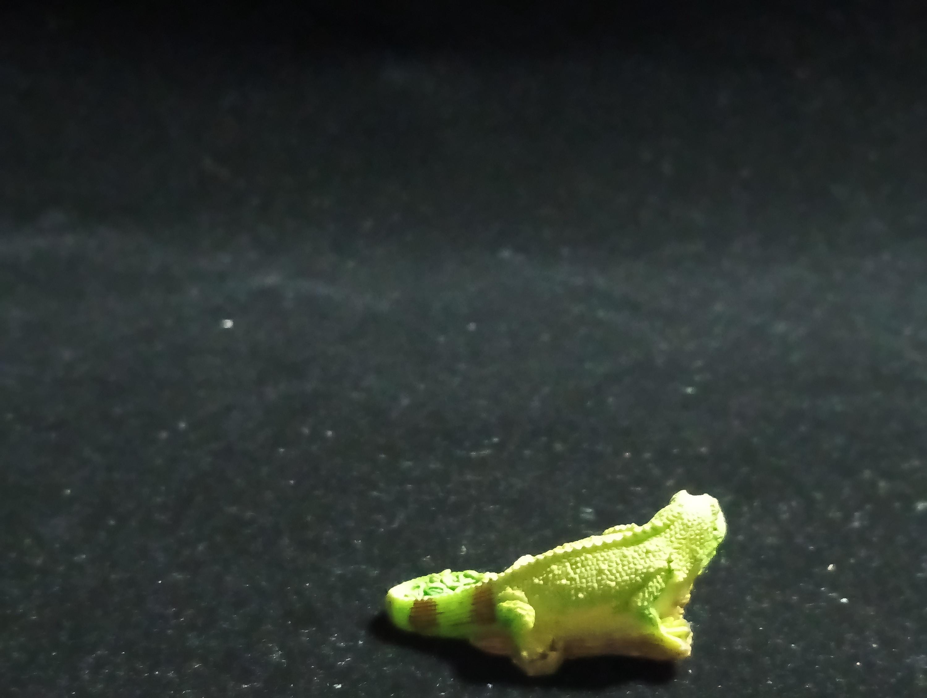 The Mysterious of Amazon Japan Exclusive Miniature - Green Iguana Kabaya 2003