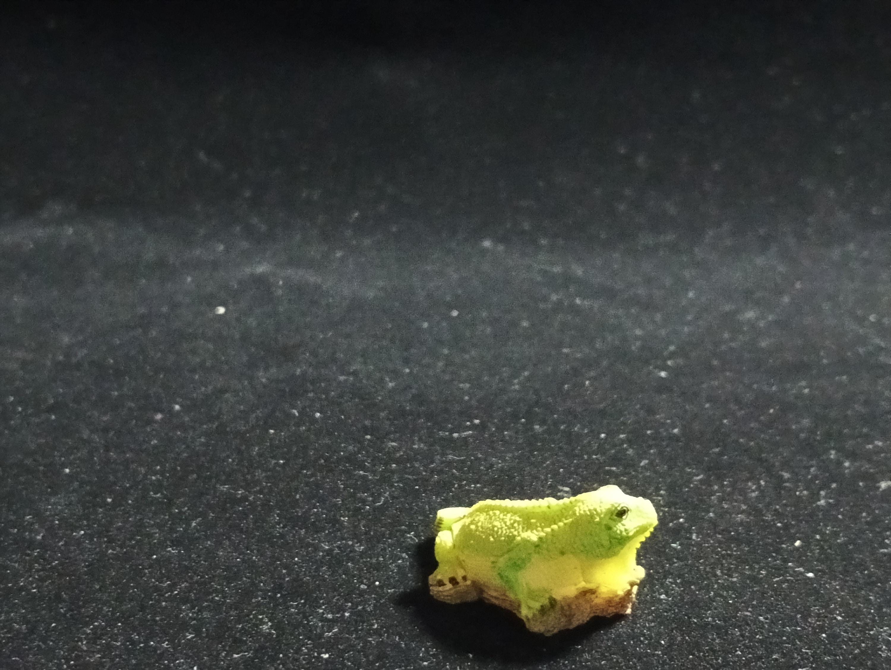 The Mysterious of Amazon Japan Exclusive Miniature - Green Iguana Kabaya 2003