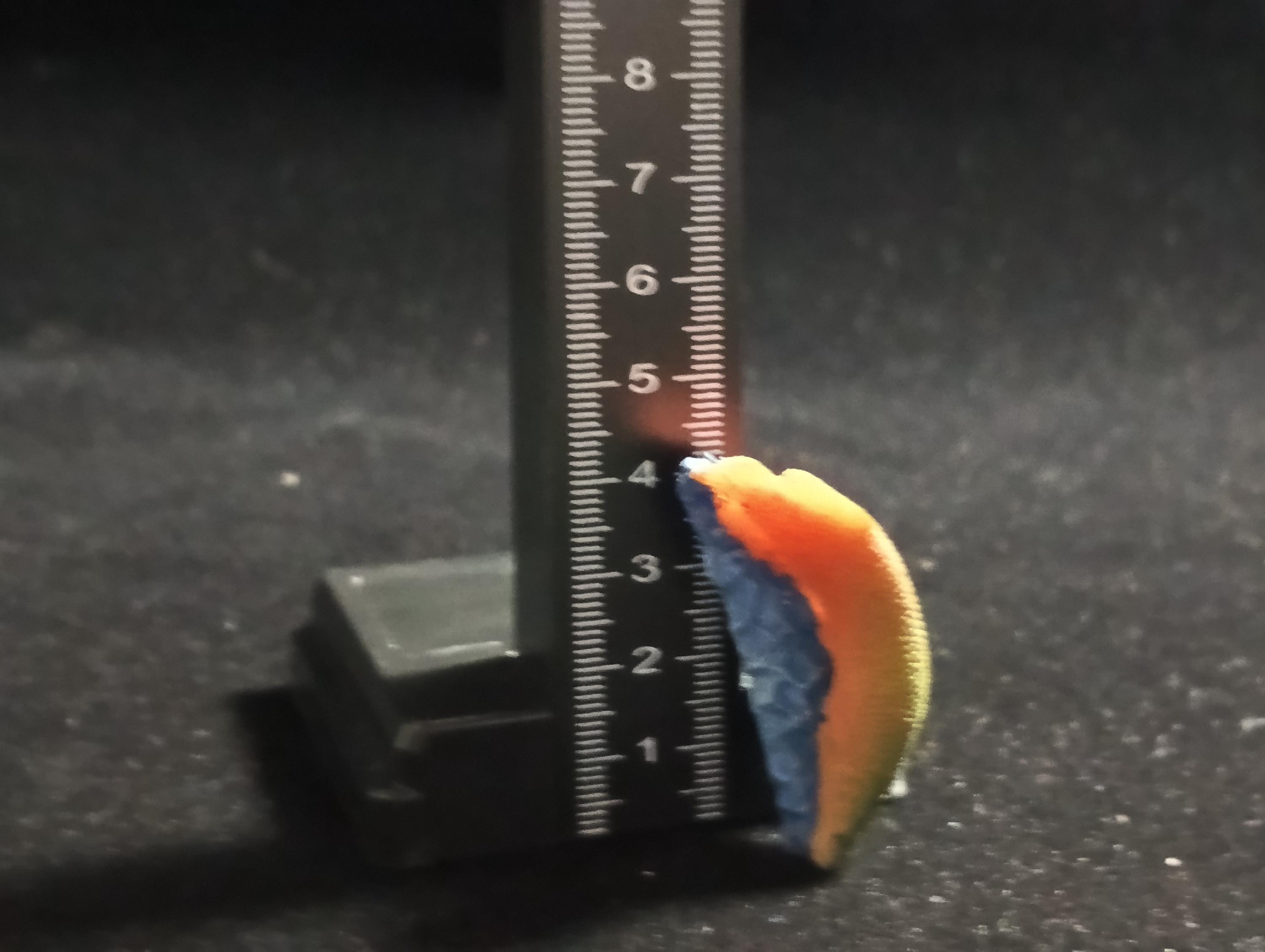 The Mysterious of Amazon Japan Exclusive Miniature - Arapaima gigas Kabaya 2003