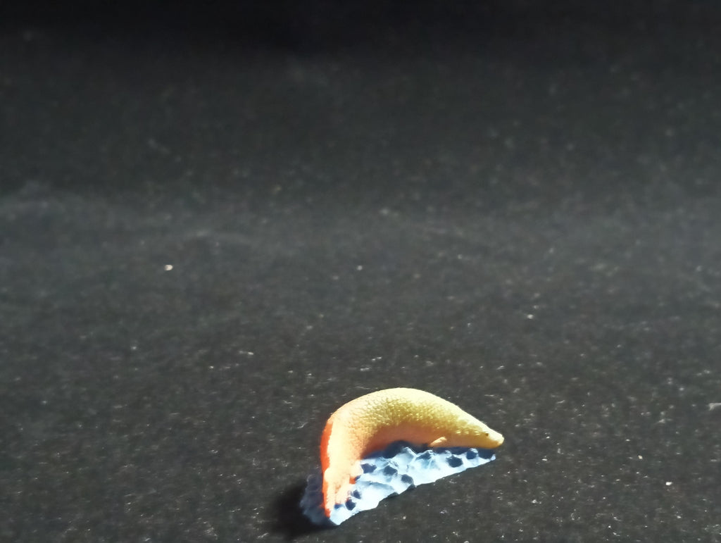 The Mysterious of Amazon Japan Exclusive Miniature - Arapaima gigas Kabaya 2003