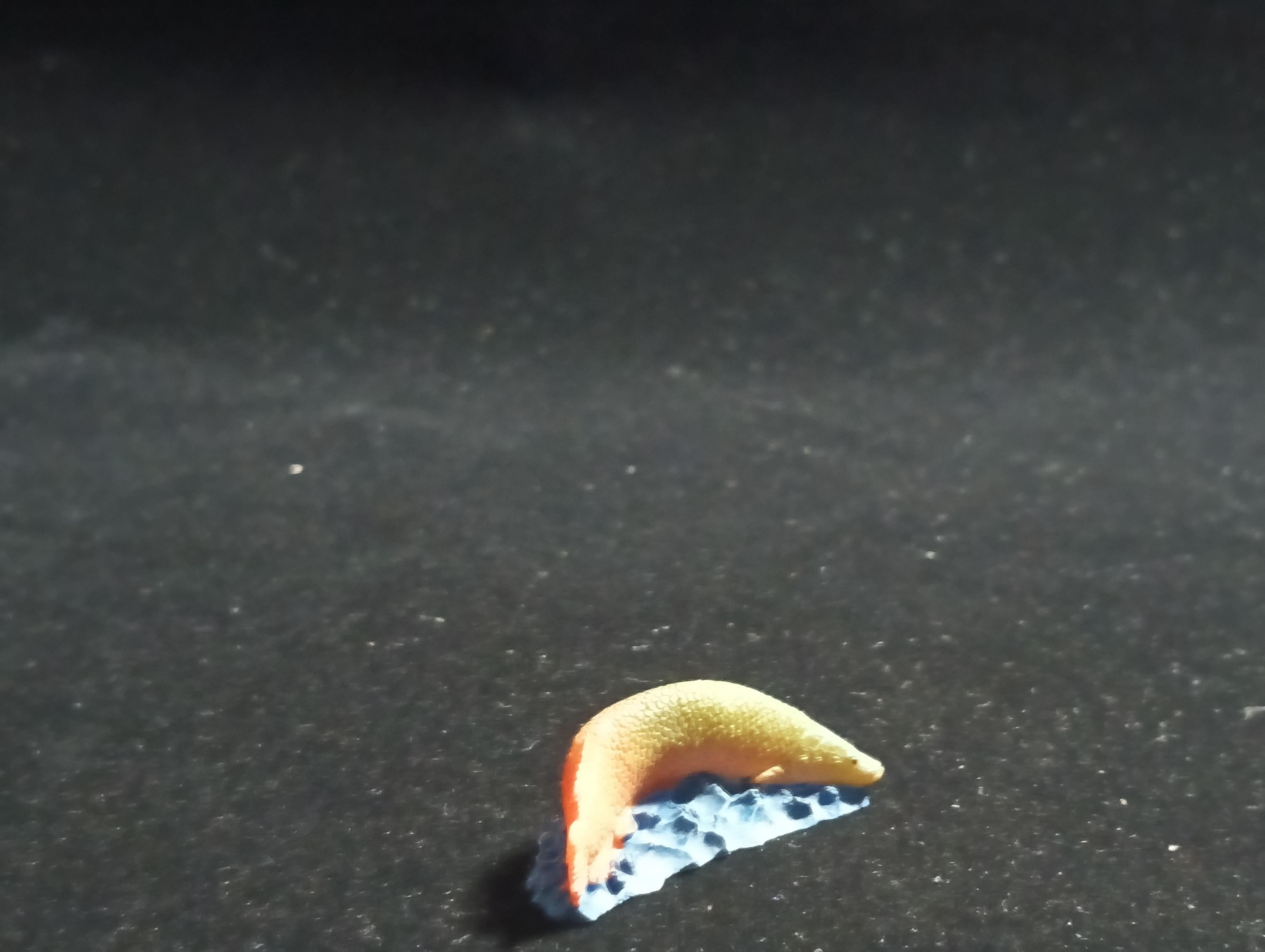 The Mysterious of Amazon Japan Exclusive Miniature - Arapaima gigas Kabaya 2003