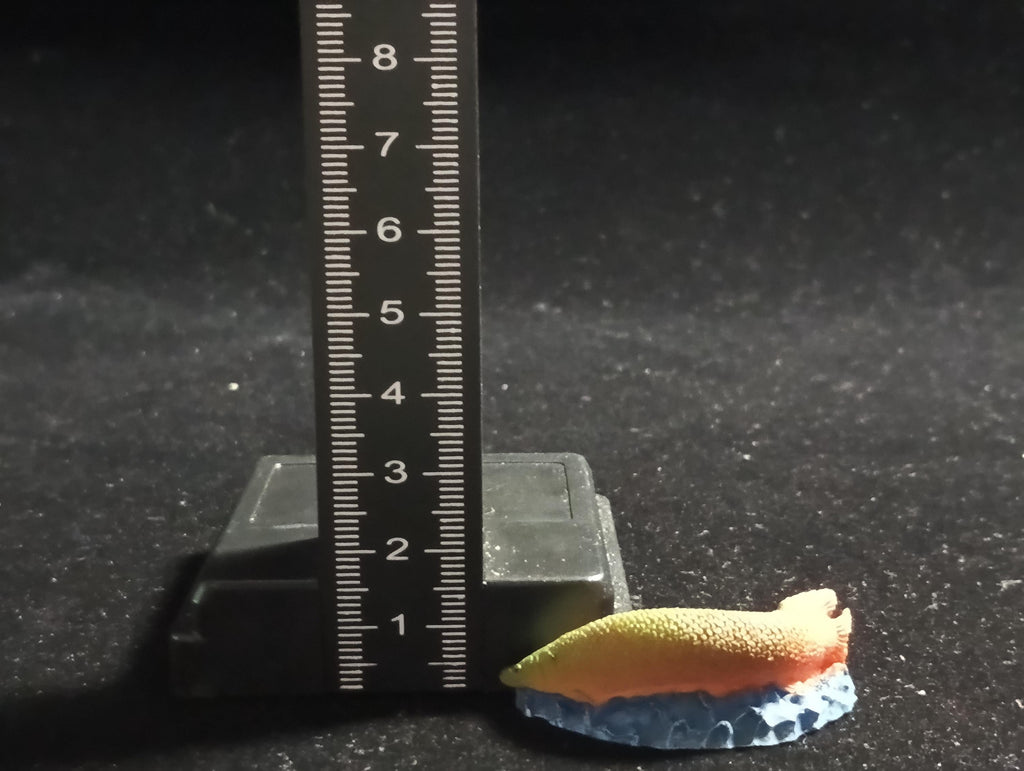 The Mysterious of Amazon Japan Exclusive Miniature - Arapaima gigas Kabaya 2003