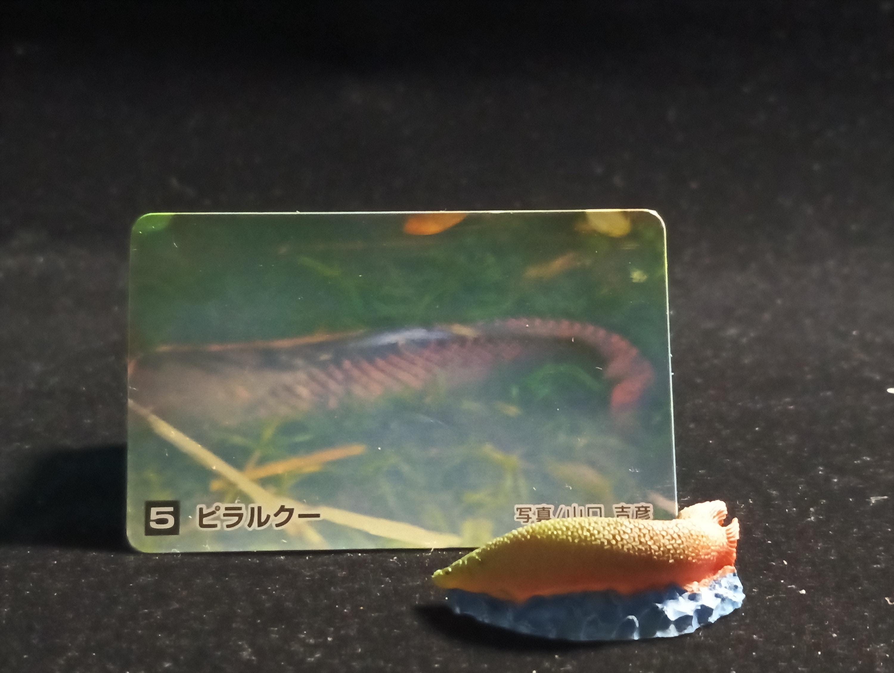 The Mysterious of Amazon Japan Exclusive Miniature - Arapaima gigas Kabaya 2003