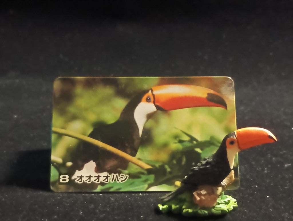 The Mysterious of Amazon Japan Exclusive Miniature - Ramphastos toco Kabaya 2003