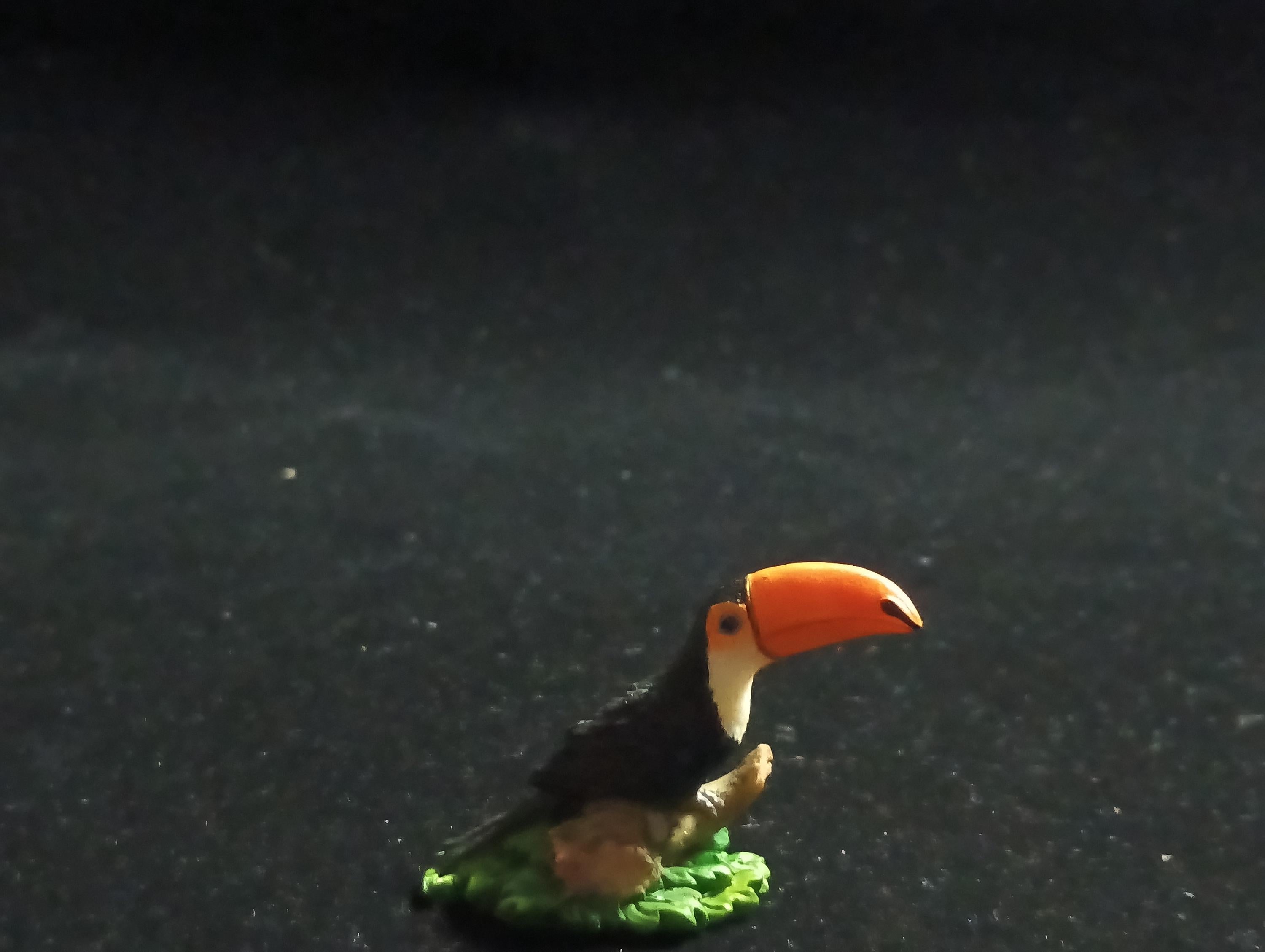 The Mysterious of Amazon Japan Exclusive Miniature - Ramphastos toco Kabaya 2003