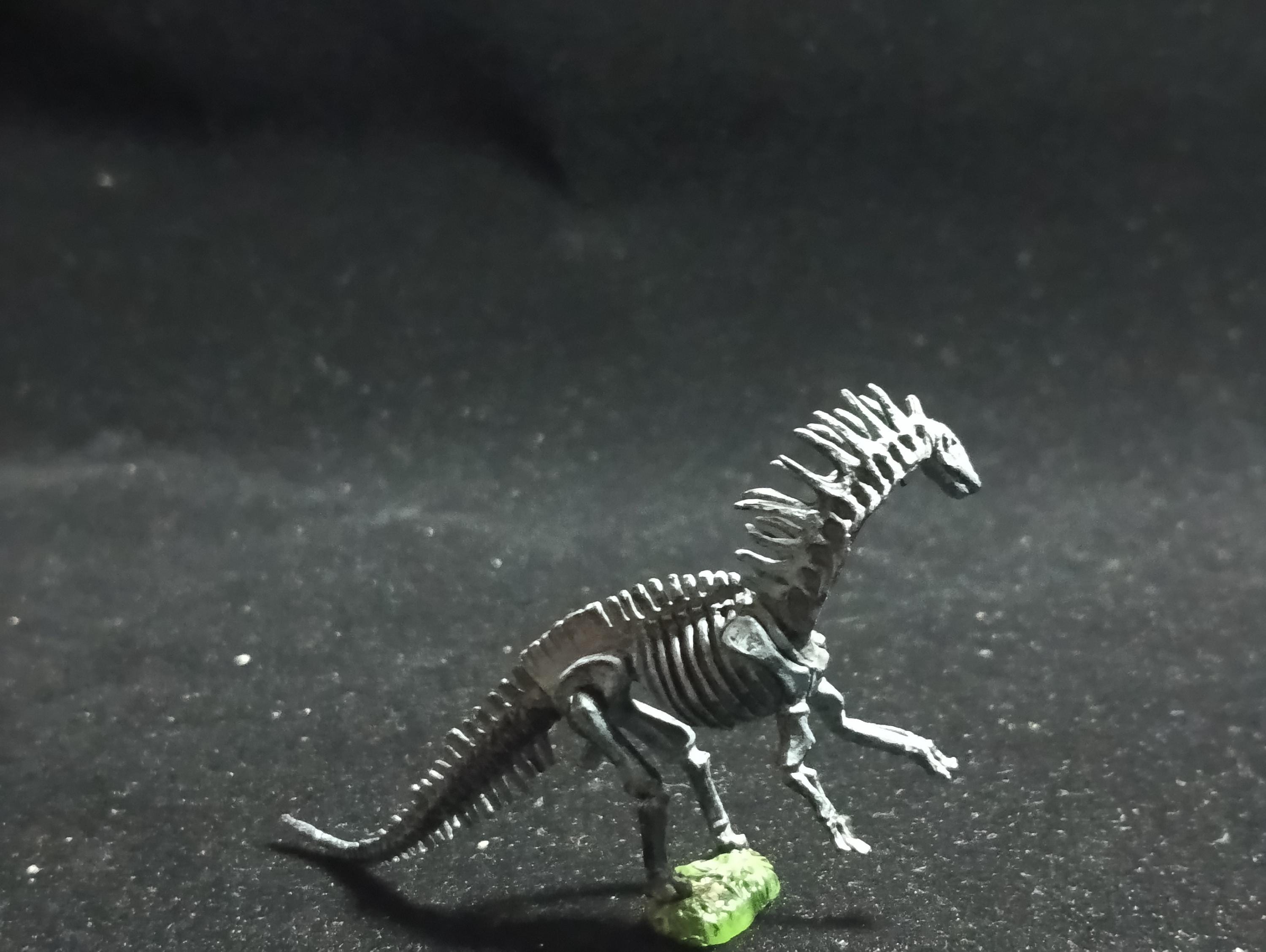 Miniature Dinosaur Amargasaurus Skeleton Figure Figurine -  Furuta