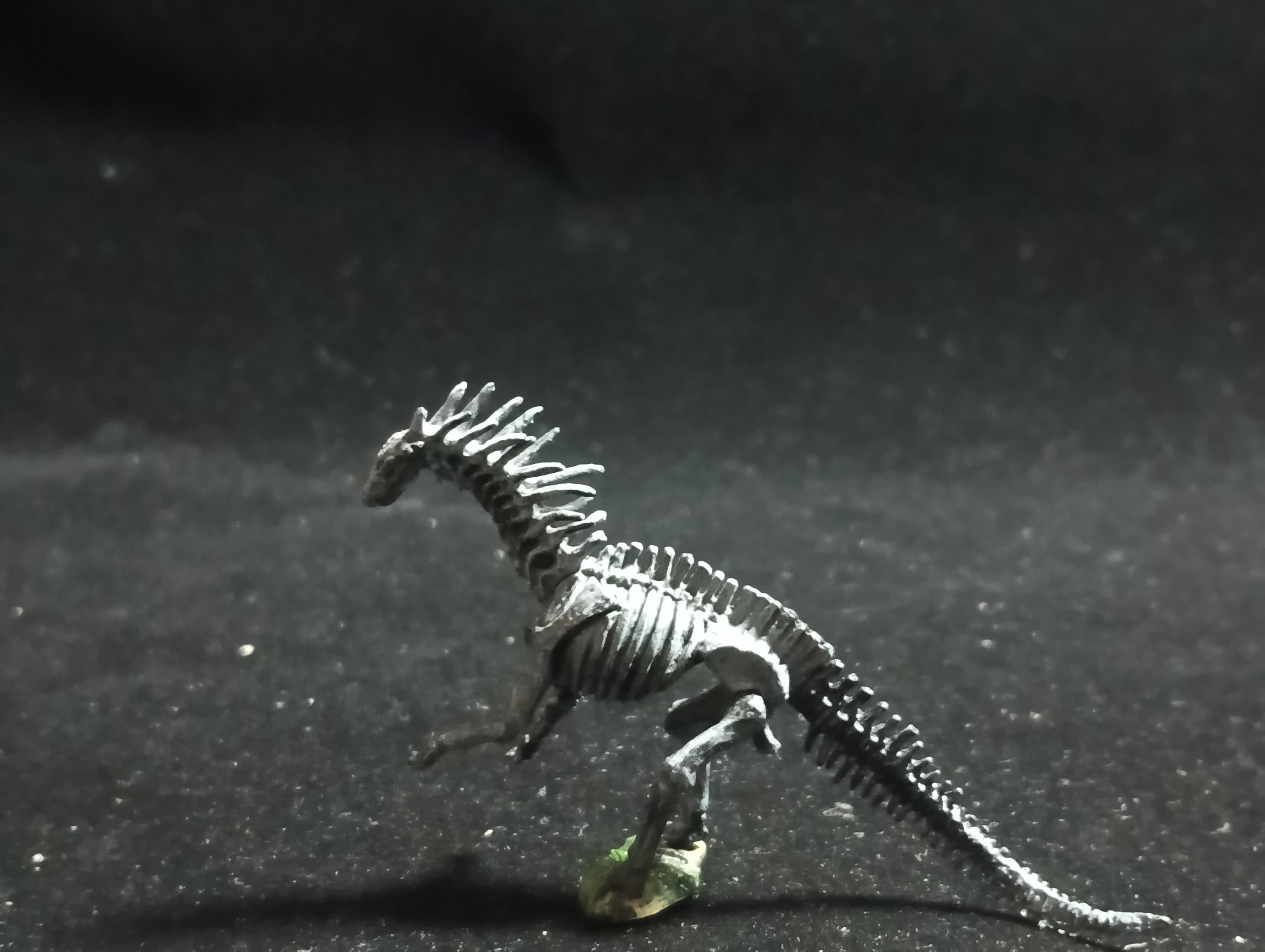 Miniature Dinosaur Amargasaurus Skeleton Figure Figurine -  Furuta