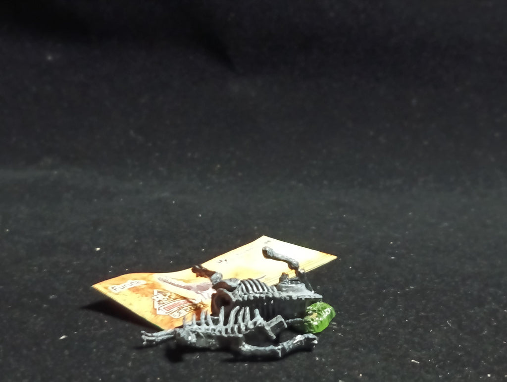 Miniature Dinosaur Amargasaurus Skeleton Figure Figurine -  Furuta