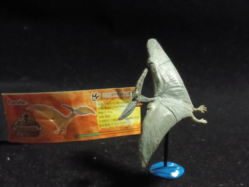 Miniature Dinosaur Pteranodon Figure Figurine -  Furuta