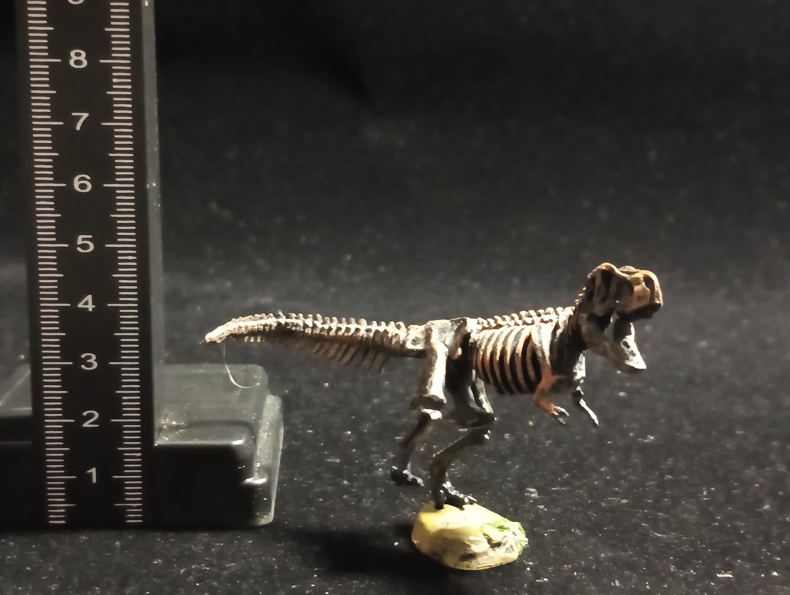 Miniature Dinosaur Tyrannosaurus Rex Skeleton Figure Figurine -  Furuta