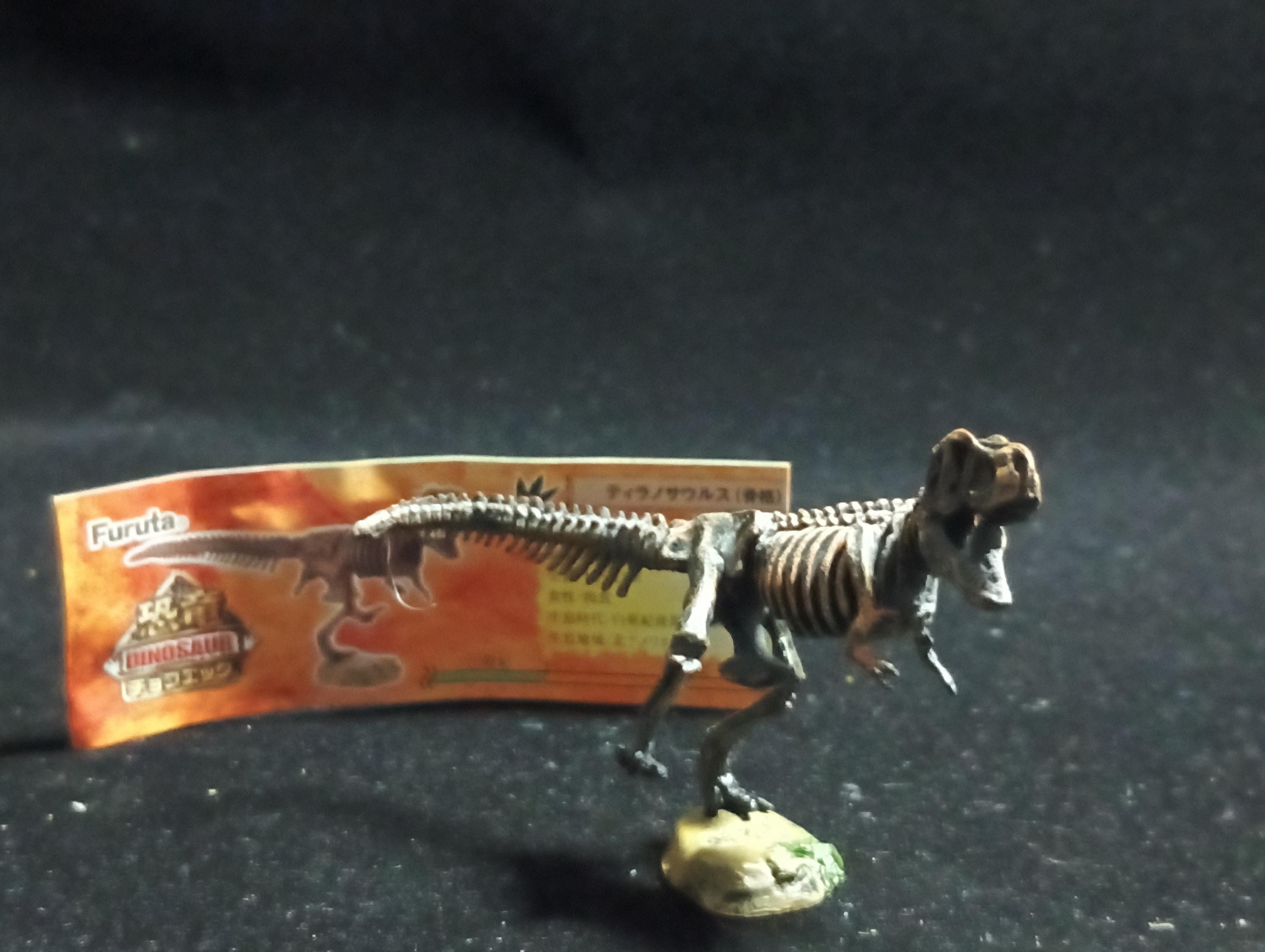 Miniature Dinosaur Tyrannosaurus Rex Skeleton Figure Figurine -  Furuta