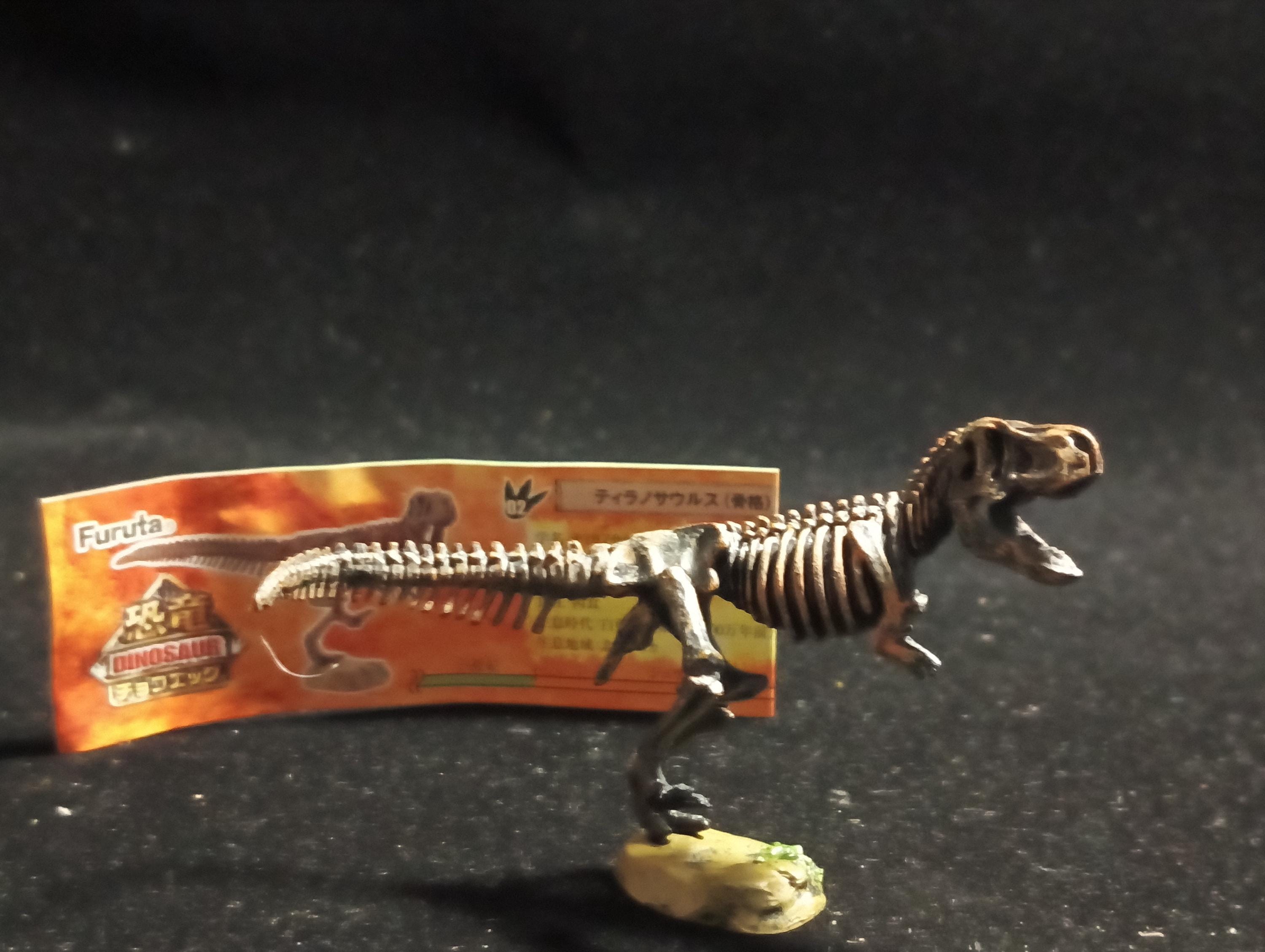 Miniature Dinosaur Tyrannosaurus Rex Skeleton Figure Figurine -  Furuta