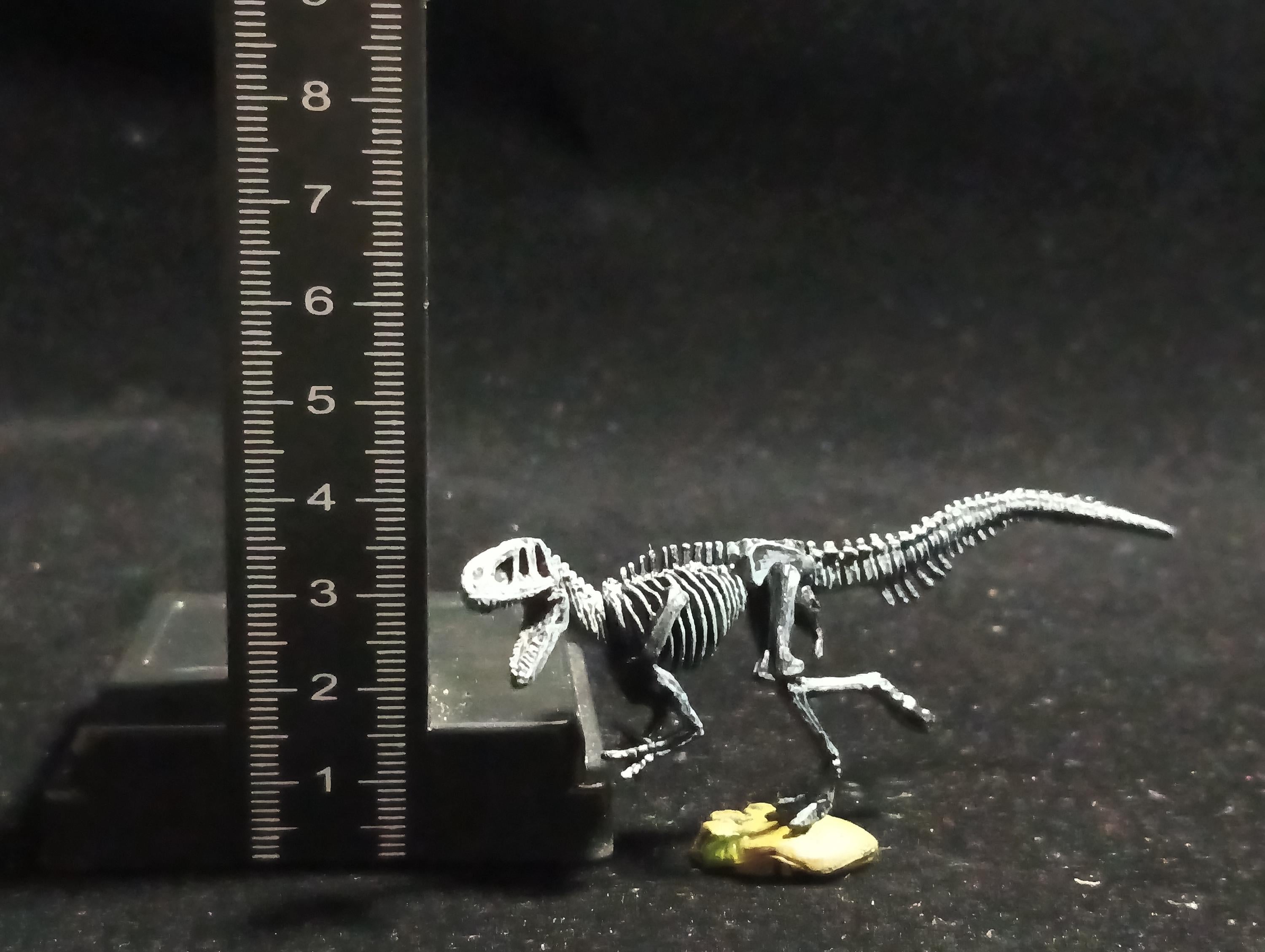 Miniature Dinosaur Fukuiraptor Raptor Skeleton Figure Figurine -  Furuta