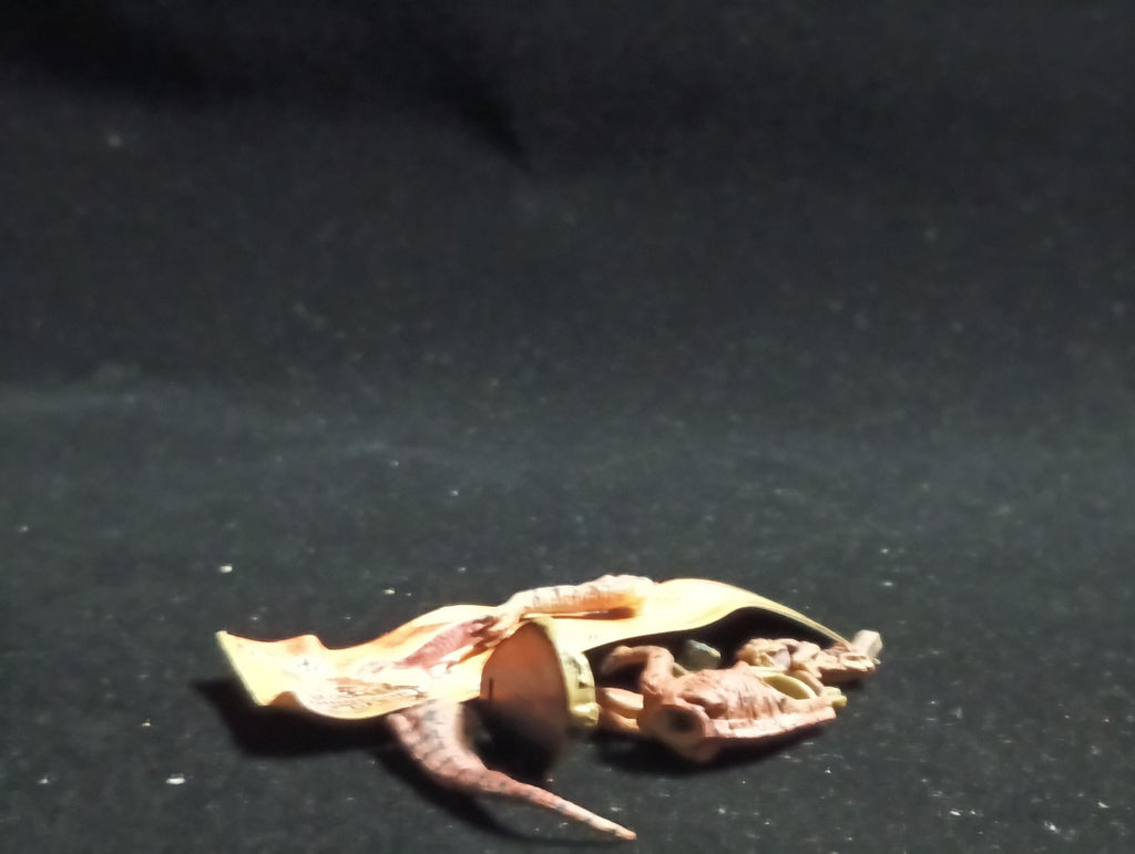 Miniature Dinosaur Fukuiraptor Figure Figurine -  Furuta