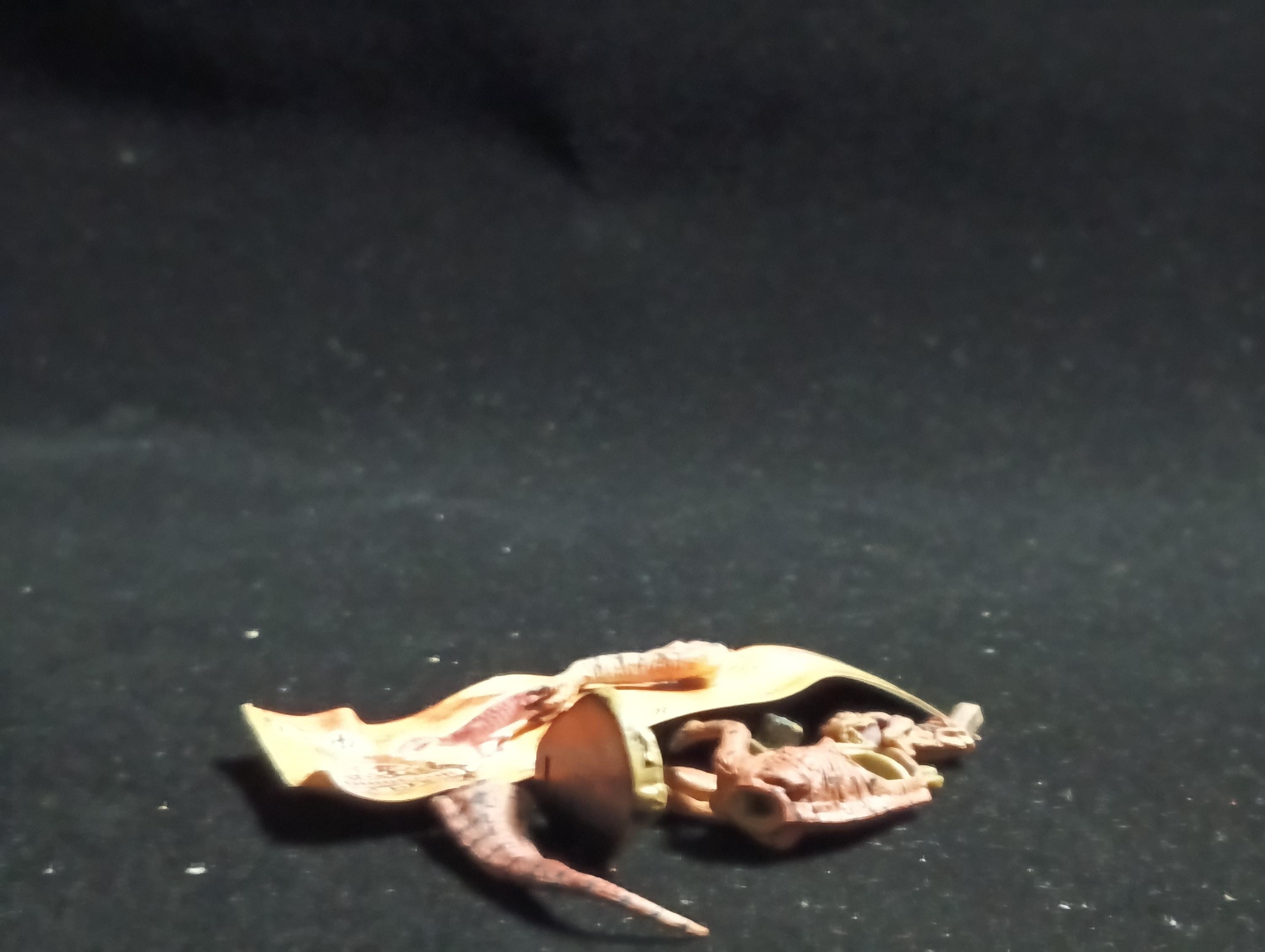 Miniature Dinosaur Fukuiraptor Figure Figurine -  Furuta