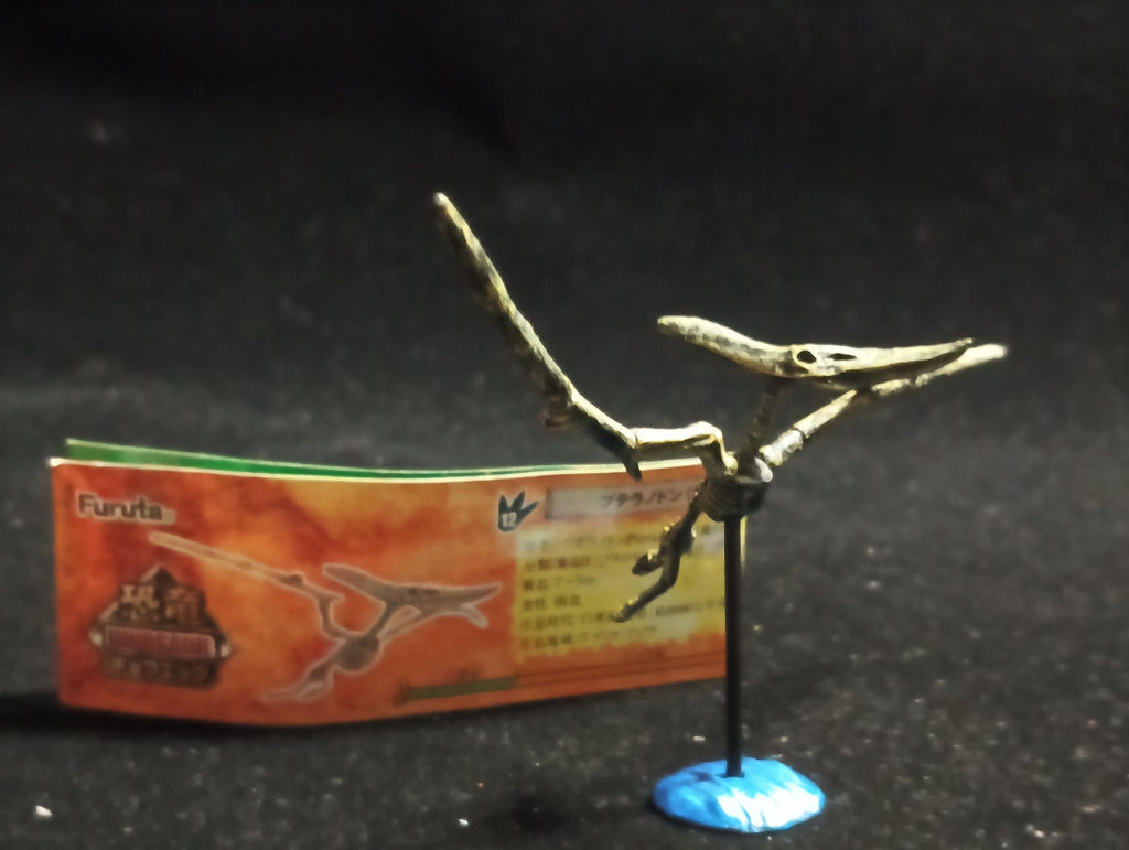 Miniature Dinosaur Pteranodon Skeleton Figurine -  Furuta