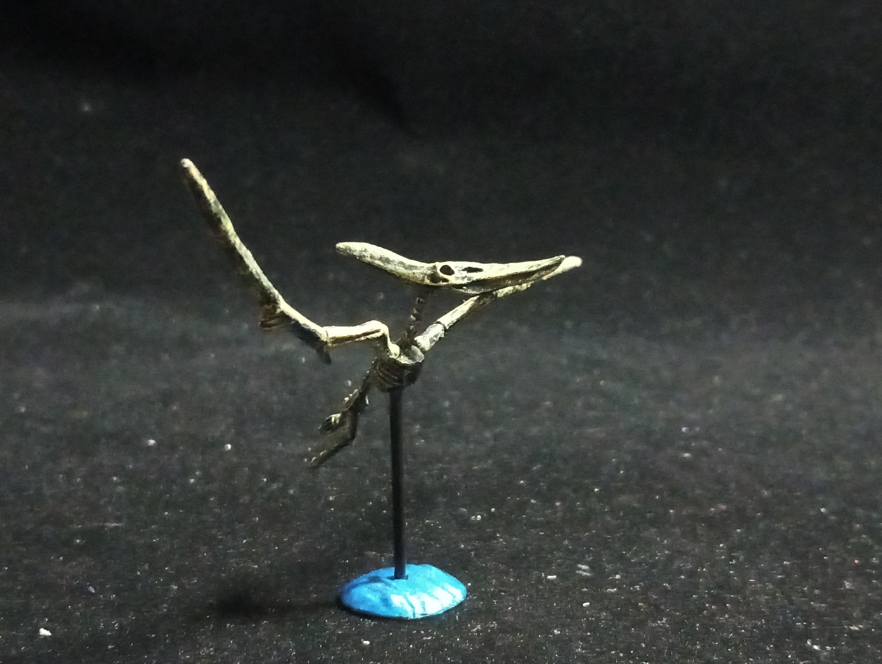 Miniature Dinosaur Pteranodon Skeleton Figurine -  Furuta