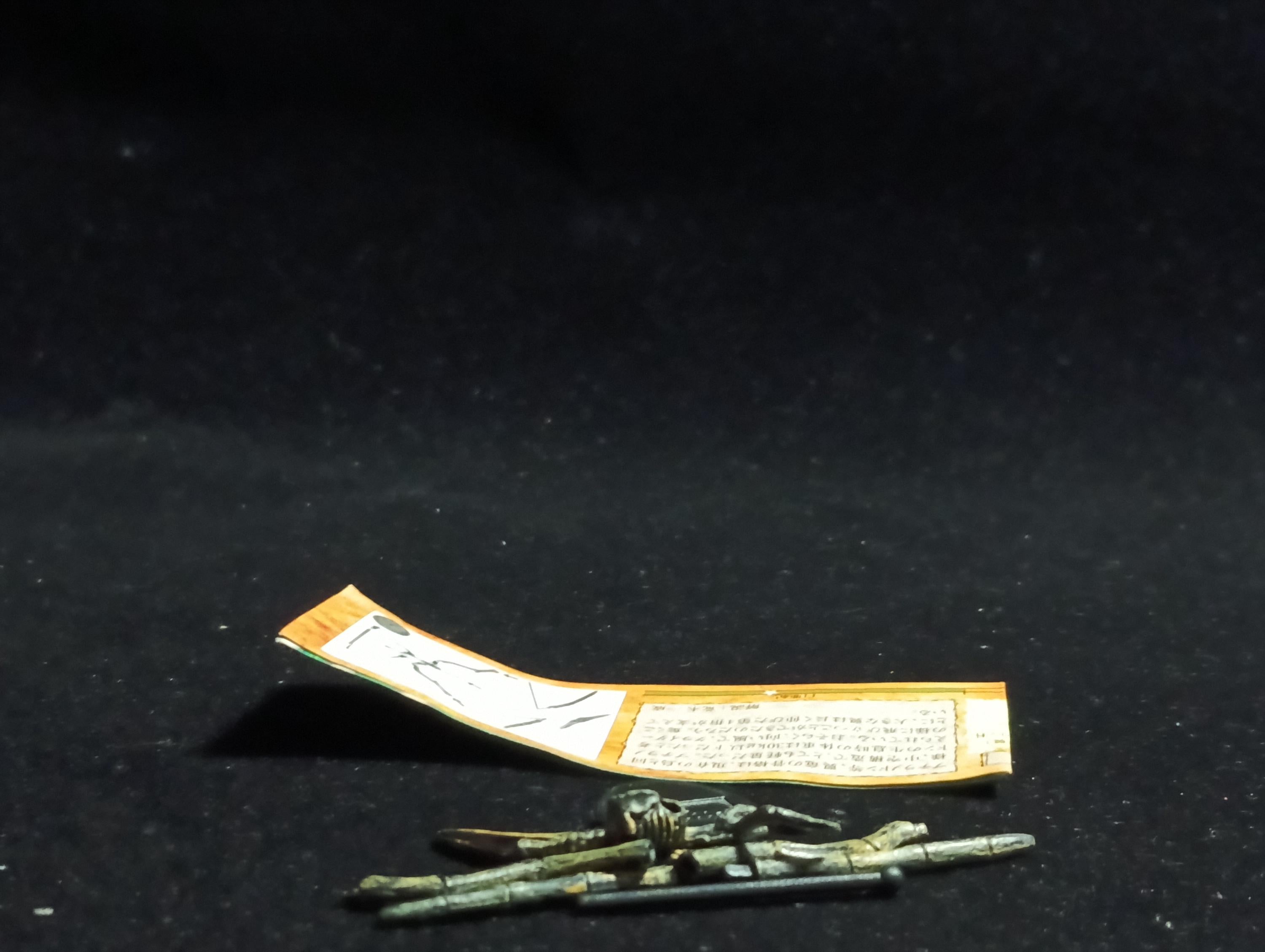 Miniature Dinosaur Pteranodon Skeleton Figurine -  Furuta