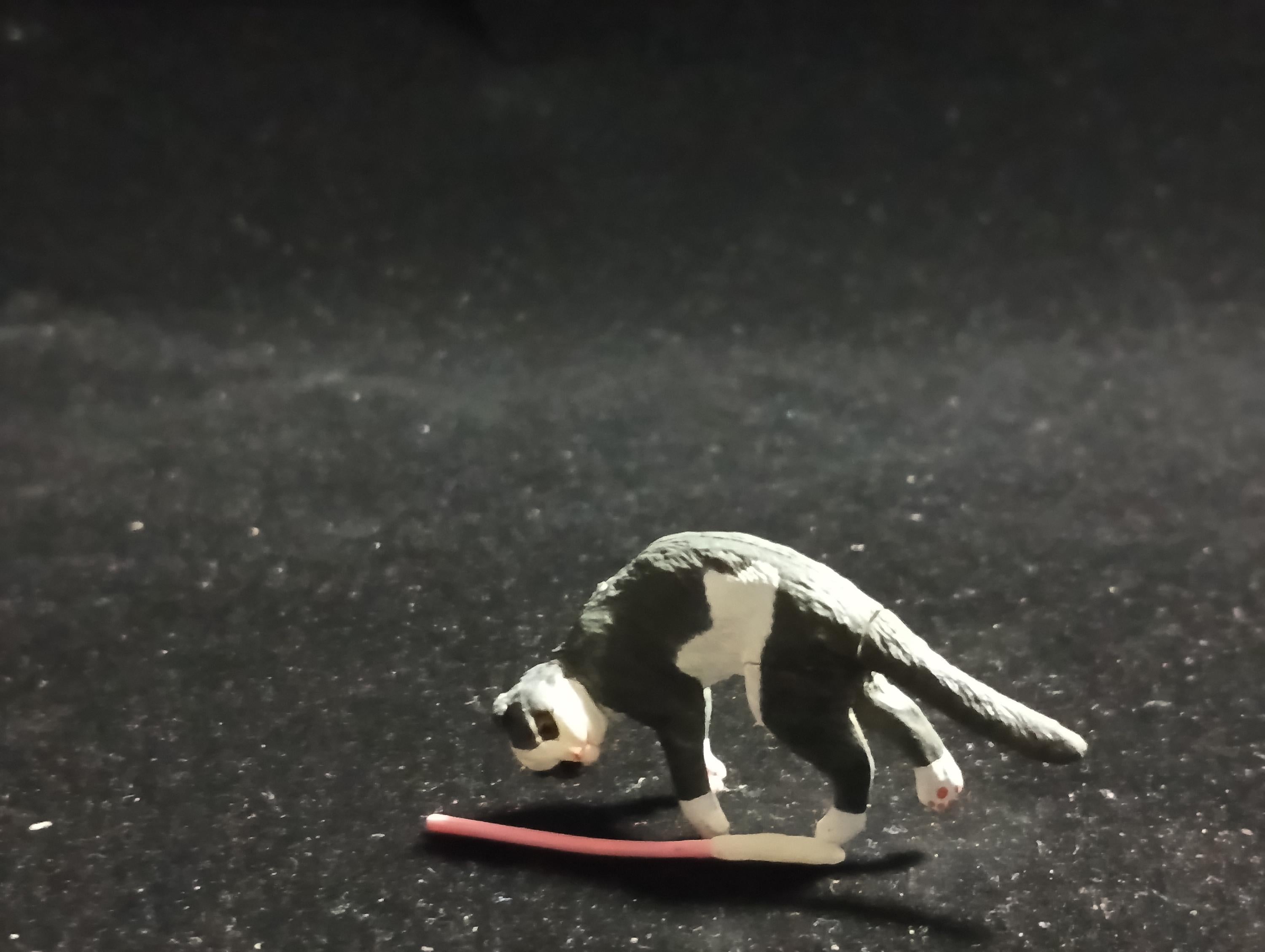 Miniature I Love Pet! Scottish Fold(Brown Eye) Figurine -  Furuta
