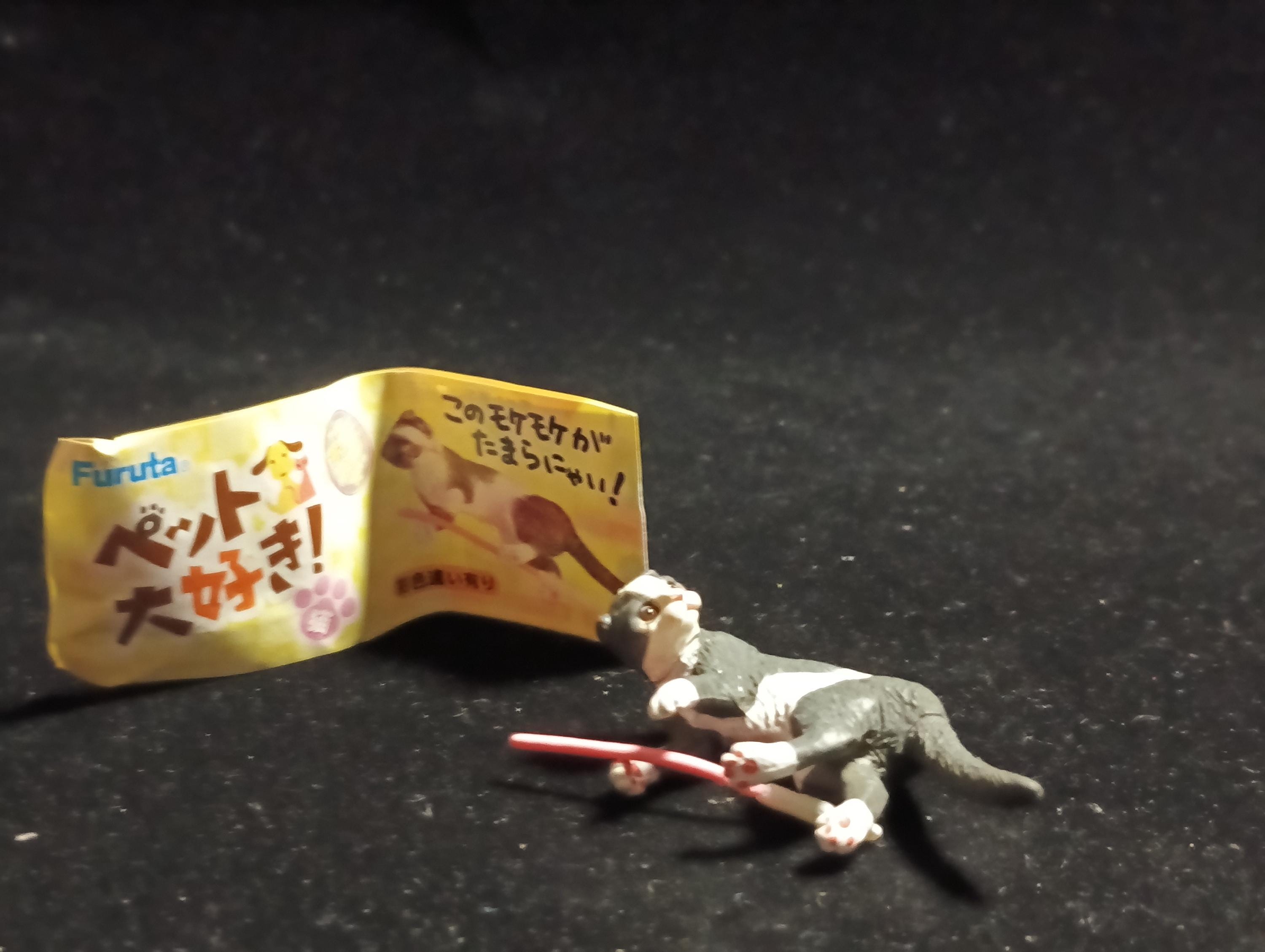Miniature I Love Pet! Scottish Fold(Brown Eye) Figurine -  Furuta