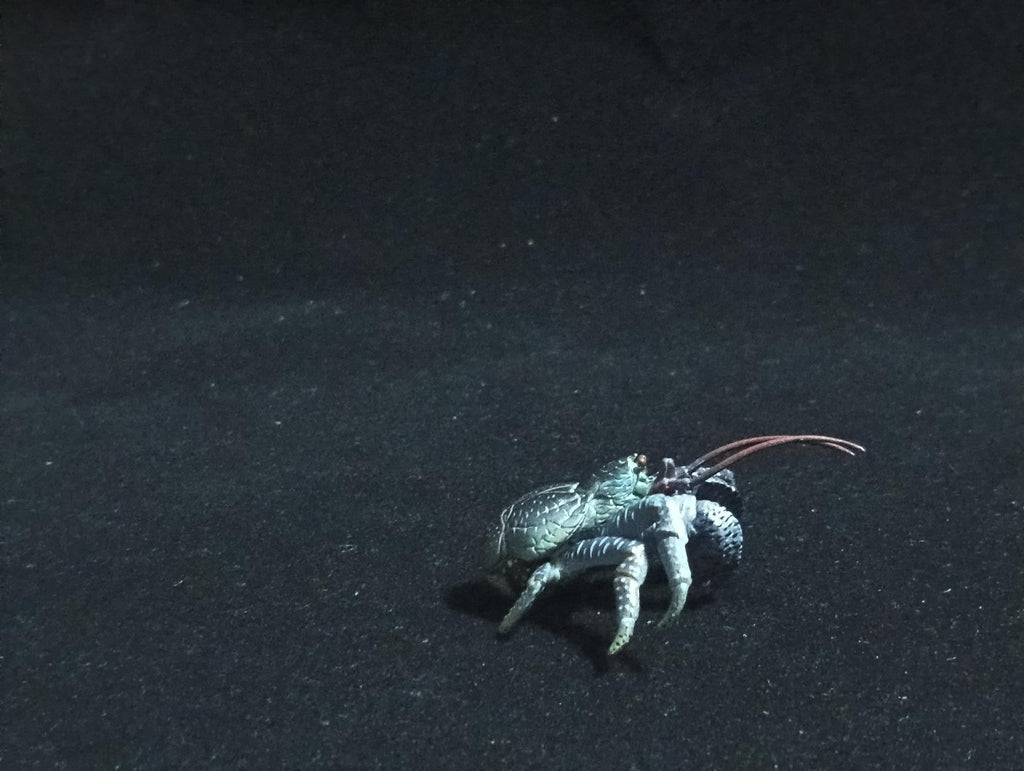 Yujin Takara Kaiyodo Retired Japan Exclusive Coconut crab Figure