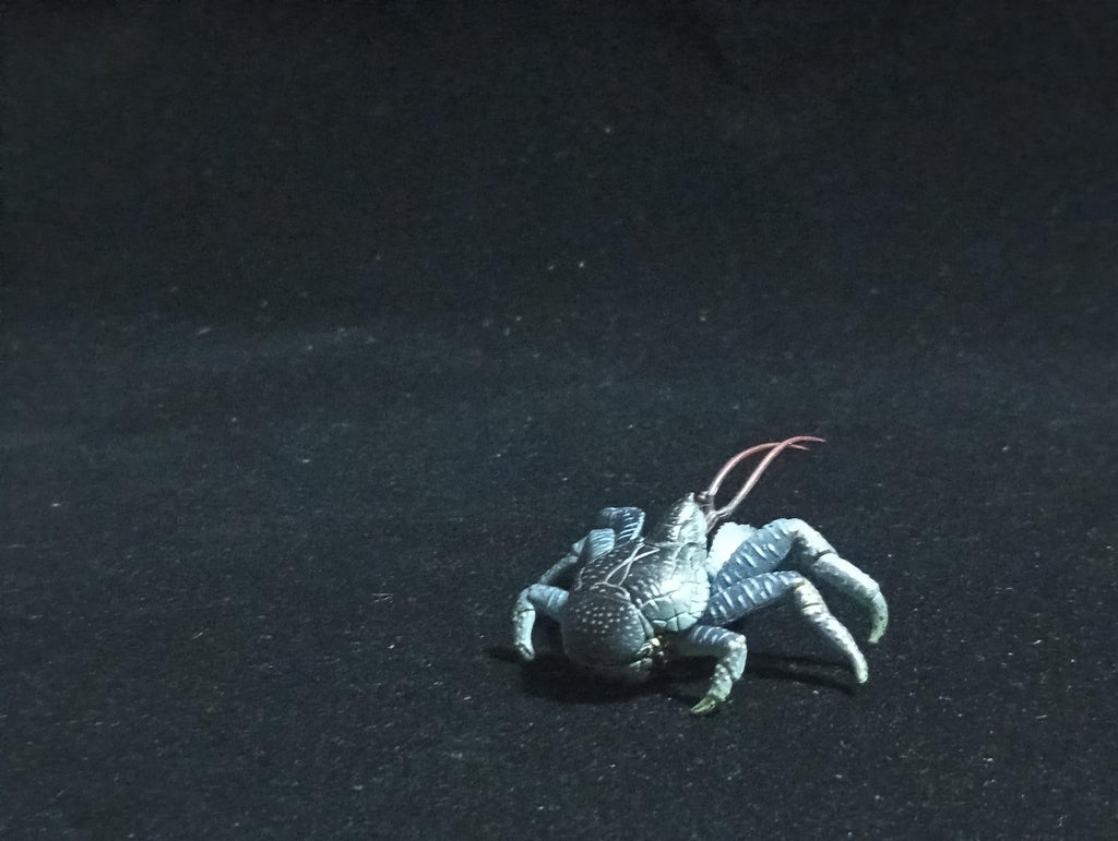 Yujin Takara Kaiyodo Retired Japan Exclusive Coconut crab Figure