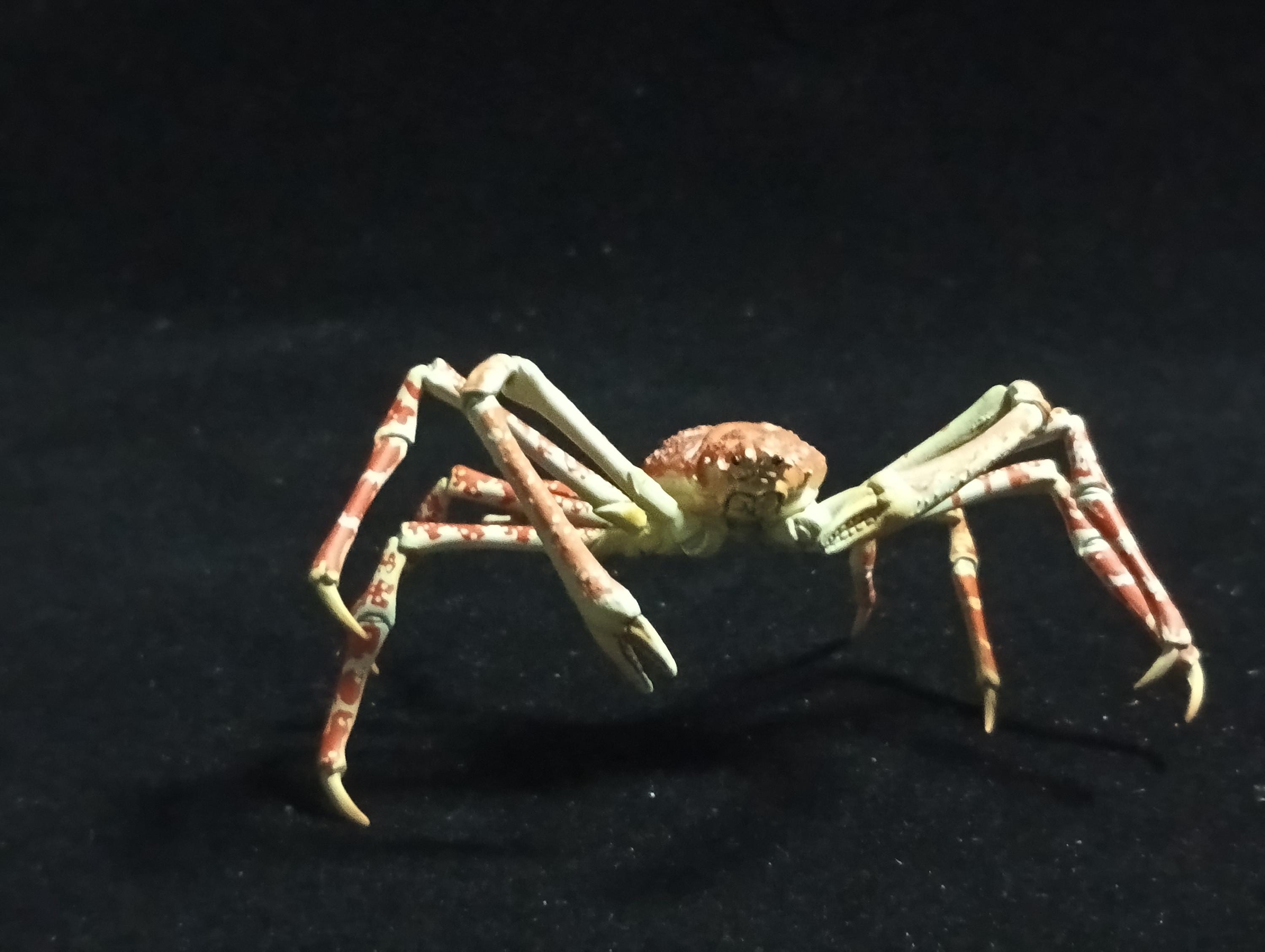 Yujin Takara Kaiyodo Retired Japan Exclusive Spider crab, Macrocheira kaempferi Figure