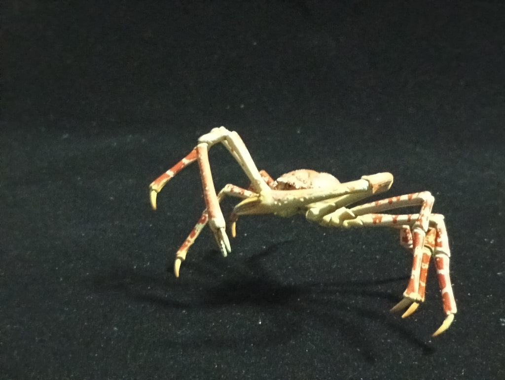 Yujin Takara Kaiyodo Retired Japan Exclusive Spider crab, Macrocheira kaempferi Figure